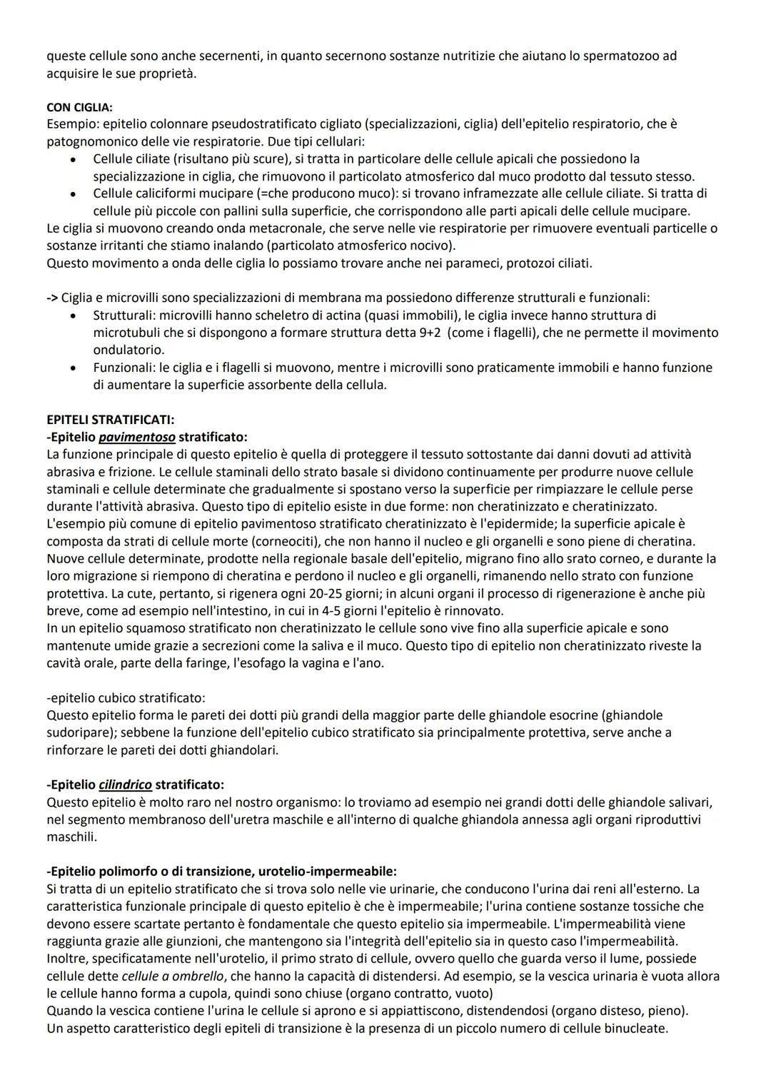 # INTRODUZIONE GENERALE
# TERMINI DI POSIZIONE:
Le descrizioni di tutte le regioni o parti del corpo umano richiedono un punto di riferimen