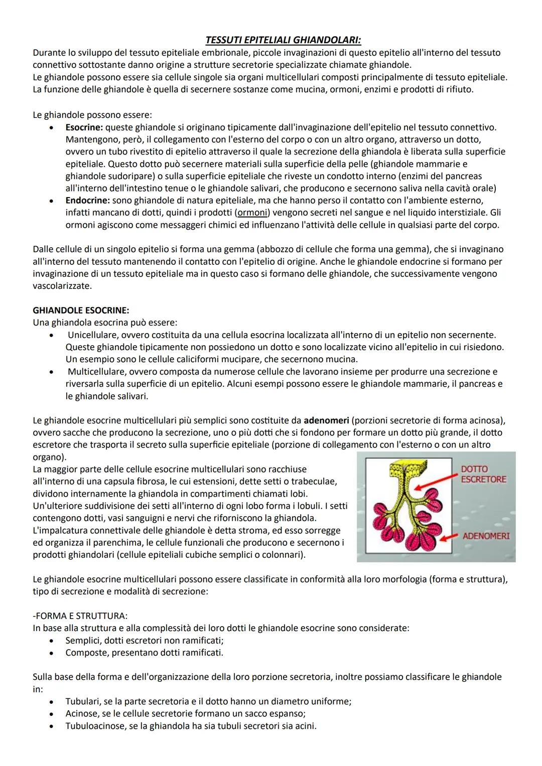 # INTRODUZIONE GENERALE
# TERMINI DI POSIZIONE:
Le descrizioni di tutte le regioni o parti del corpo umano richiedono un punto di riferimen