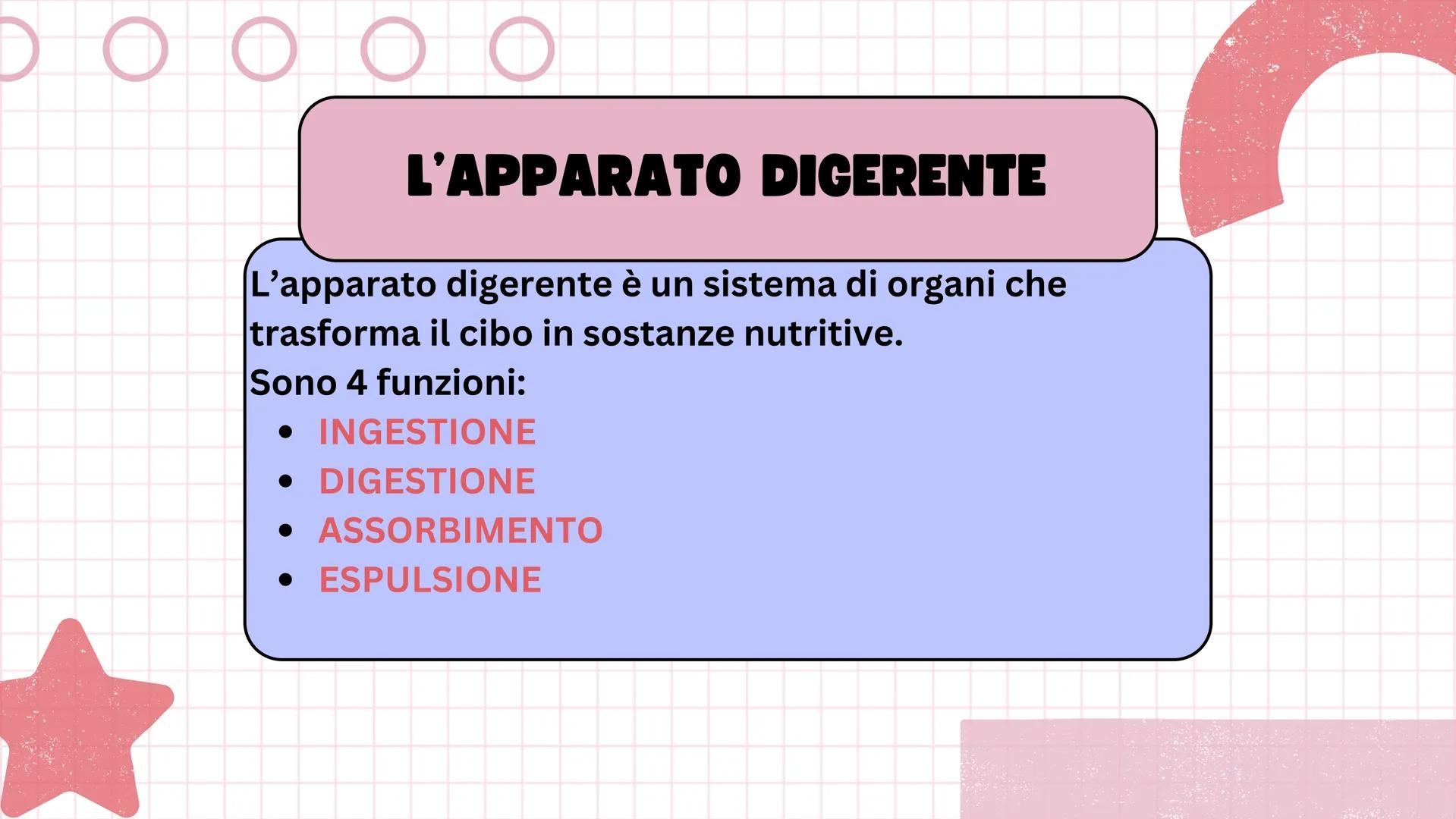 # Apparato digerente ## L'APPARATO DIGERENTE
L'apparato digerente è un sistema di organi che
trasforma il cibo in sostanze nutritive.
Sono