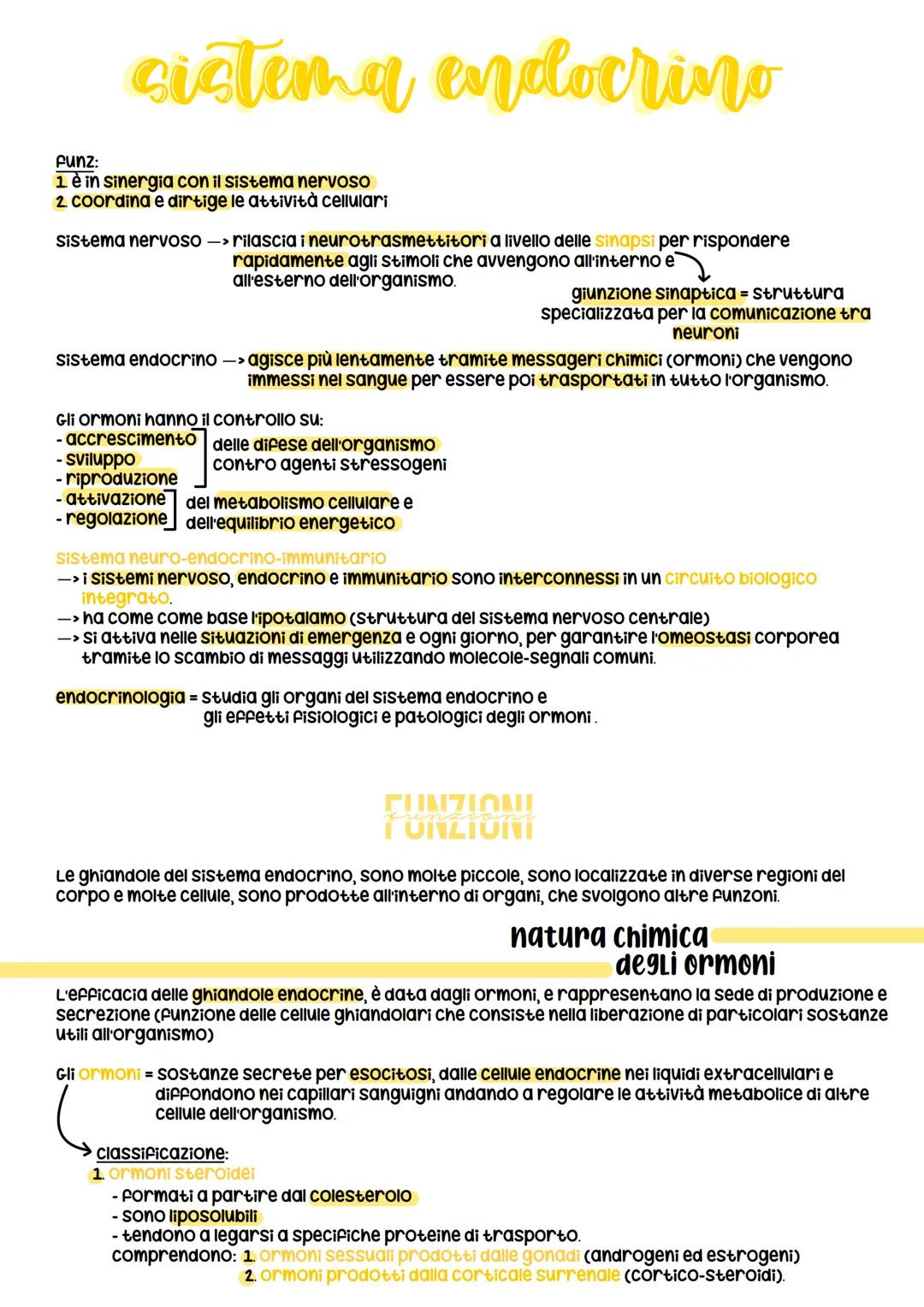 sistema endocrino
funz:
1. è in sinergia con il sistema nervoso
2. coordina e dirtige le attività cellulari
sistema nervoso
rilascia i neuro