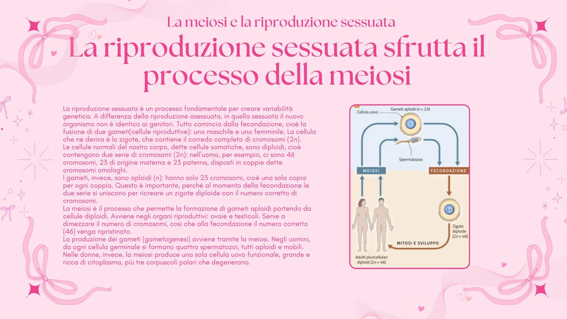 # BIOLOGIA 2
Francesca Lombardo 2ºI La divisione cellulare e la scissione binaria
Tutte le cellule si riproducono
Secondo la teoria cellu
