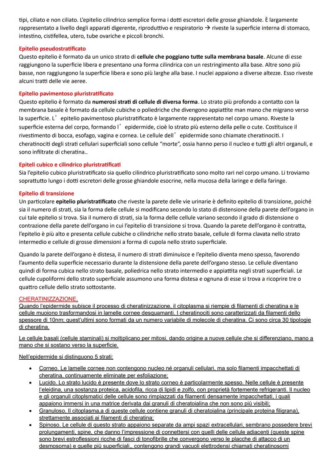 ISTOLOGIA
PRINCIPI COSTRUTTIVI DEGLI ORGANI
DAI TESSUTI AGLI APPARATI E AI SISTEMI
4 principali tipi di tessuti: tessuti epiteliali, tessuti
