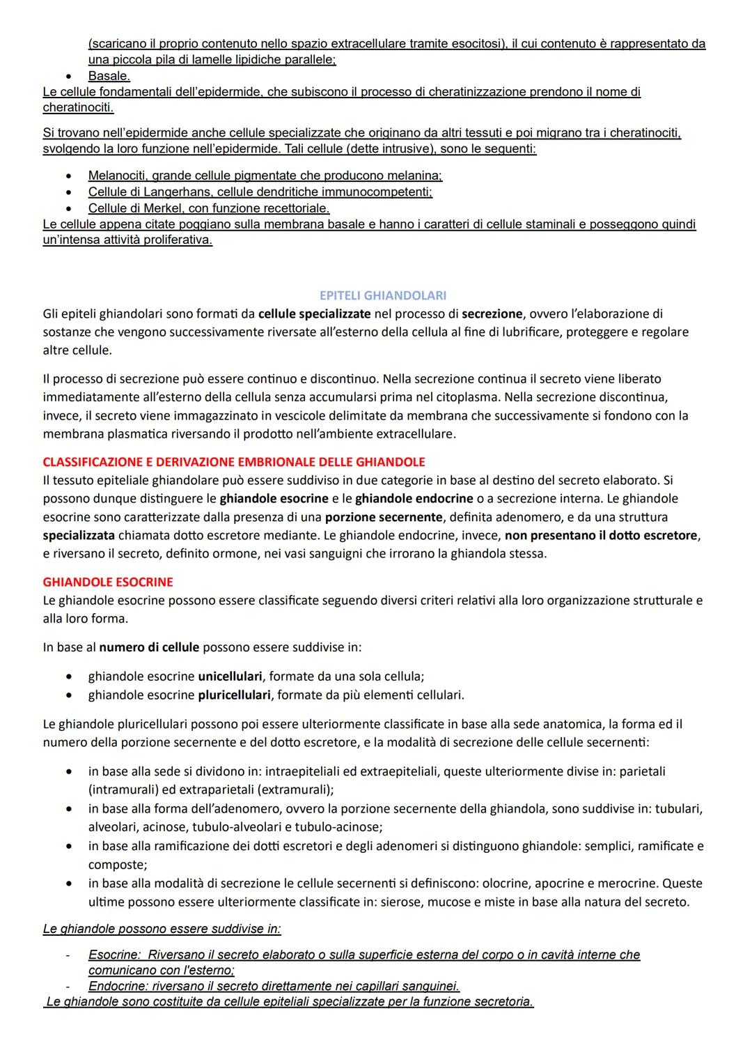 ISTOLOGIA
PRINCIPI COSTRUTTIVI DEGLI ORGANI
DAI TESSUTI AGLI APPARATI E AI SISTEMI
4 principali tipi di tessuti: tessuti epiteliali, tessuti