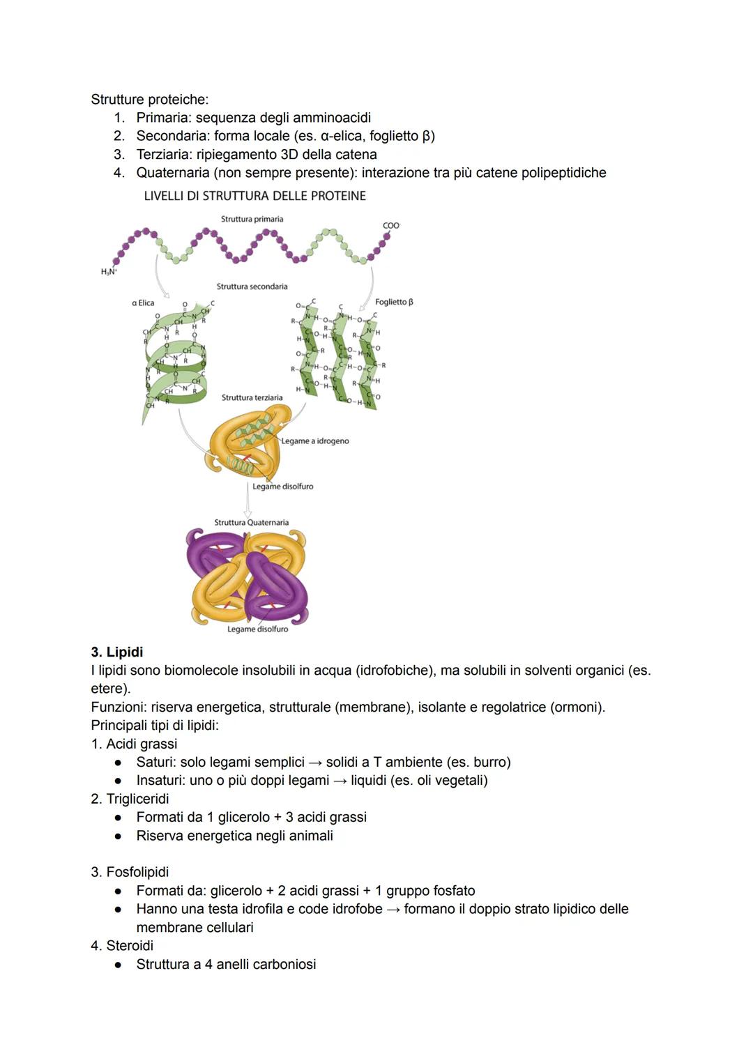# BIOLOGIA
1.1 | Introduzione alla biologia
La biologia è la scienza che studia gli esseri viventi e il loro funzionamento.
Caratteristica