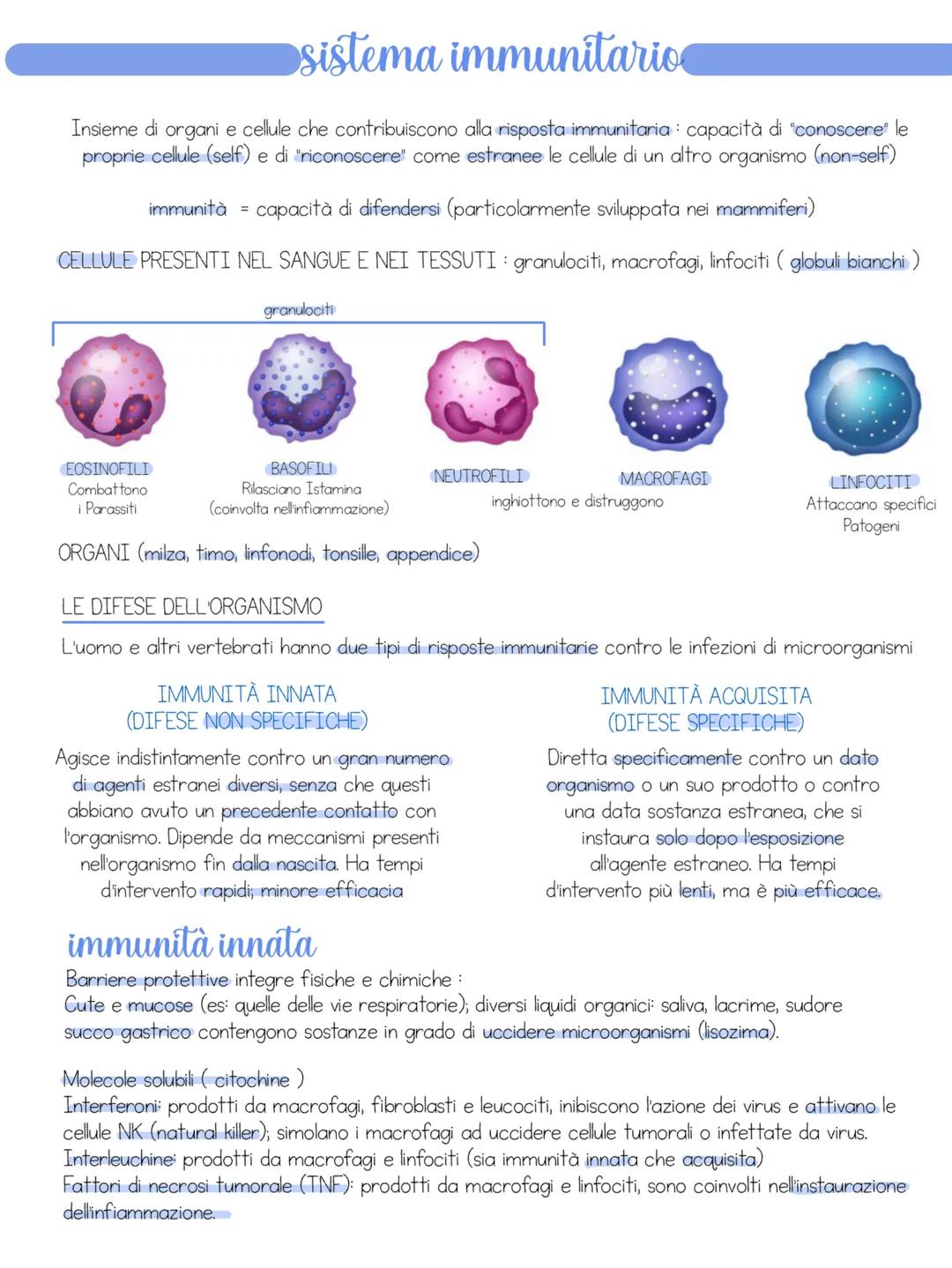 # apparato urinario
Insieme di organi il cui compito e' quello di filtrare il sangue dai cataboliti che vi si accumulano e di eliminarli al