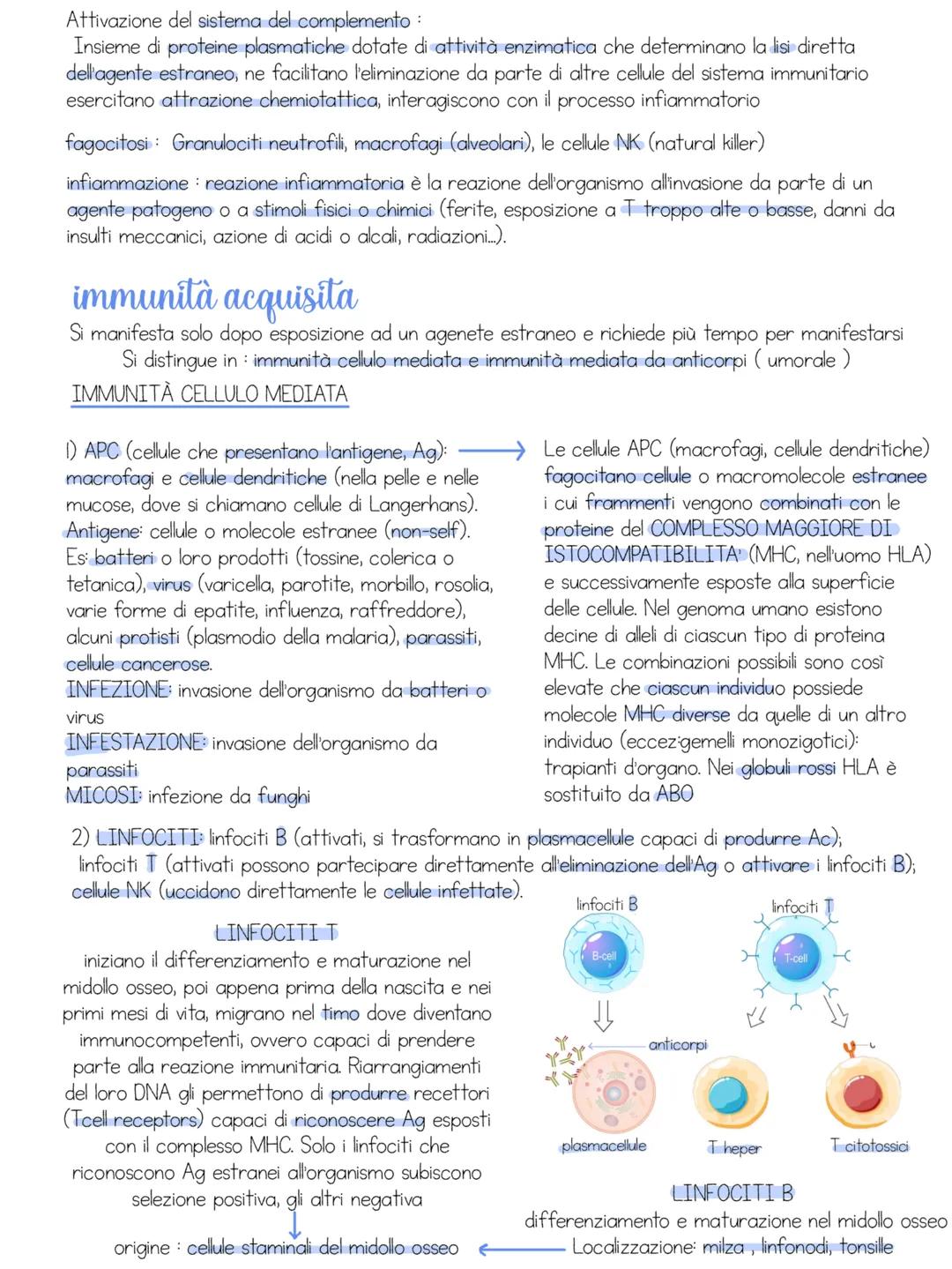 # apparato urinario
Insieme di organi il cui compito e' quello di filtrare il sangue dai cataboliti che vi si accumulano e di eliminarli al