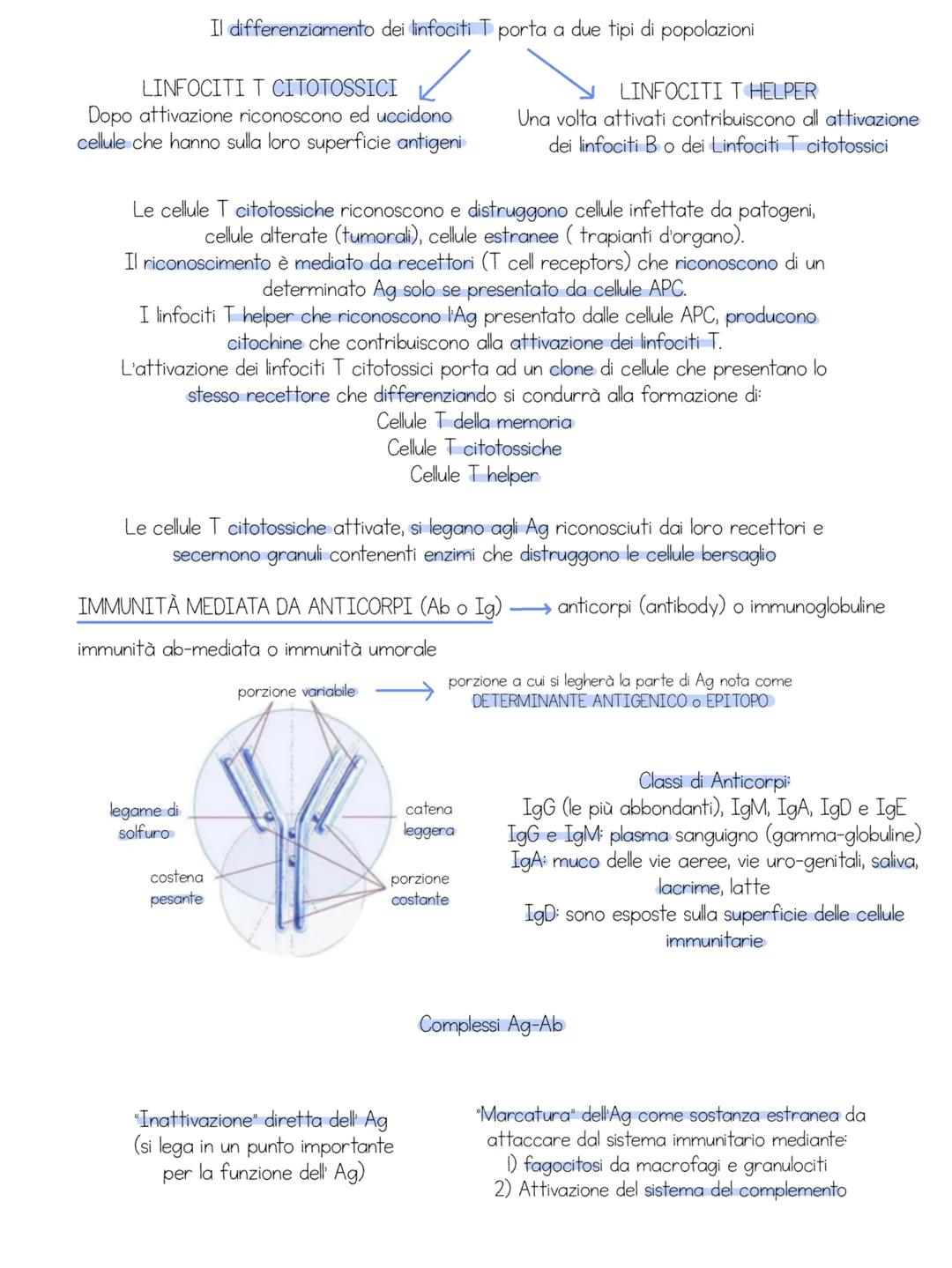 # apparato urinario
Insieme di organi il cui compito e' quello di filtrare il sangue dai cataboliti che vi si accumulano e di eliminarli al
