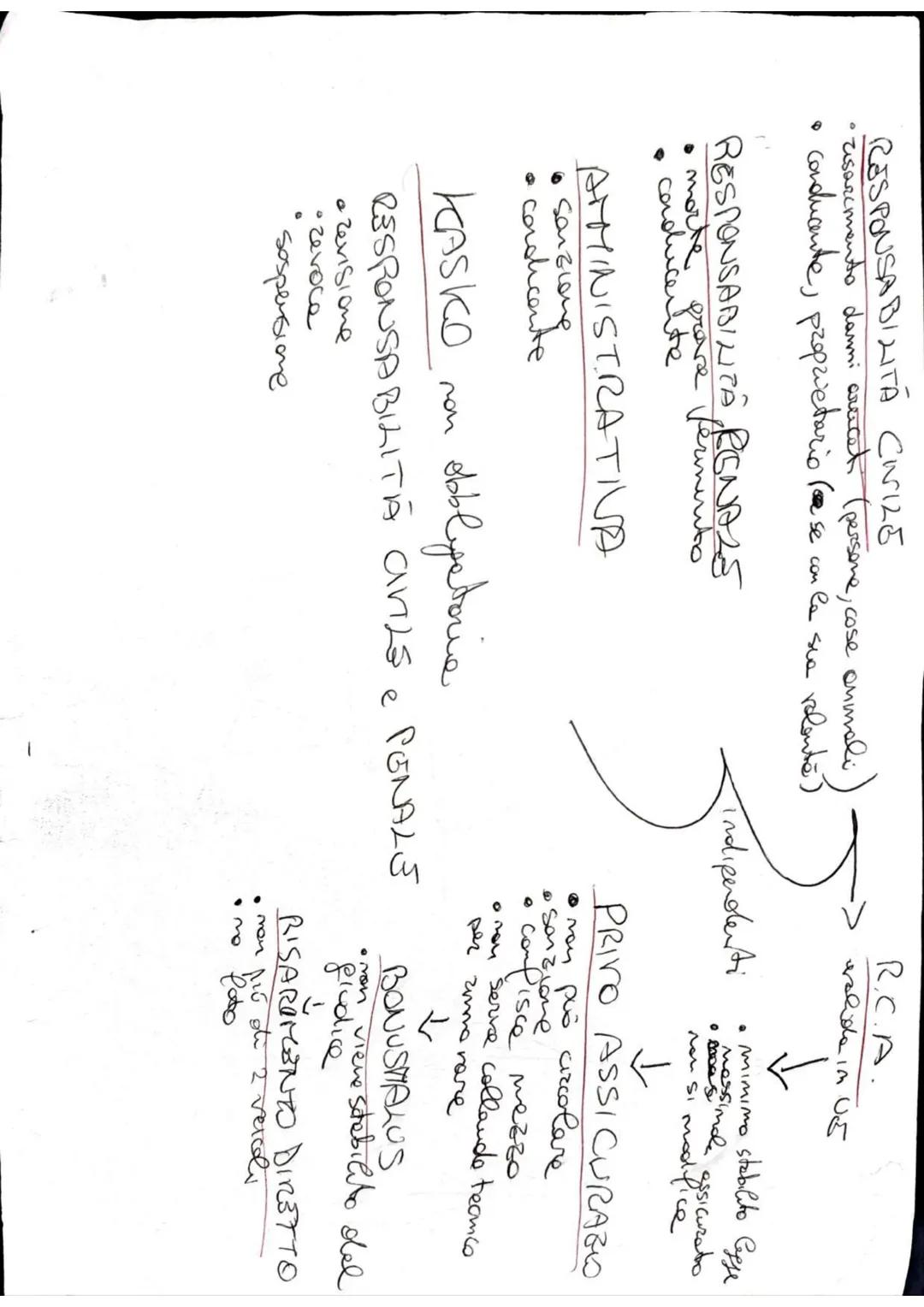 --- OCR Start ---
MOTOCICI
AM
14
CICLO MOTORI
(203 ruote
quadricicli leg)
cc 50 cm³
45km/h
pot 4 Kaw
comprese in
tutte le patenti
A1
16
MOTO