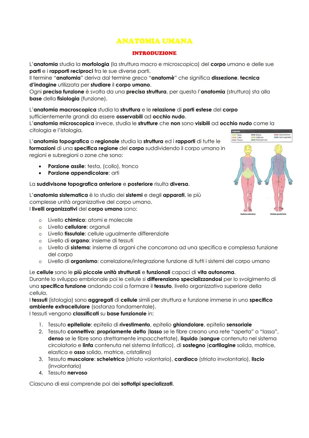 # ANATOMIA UMANA
## INTRODUZIONE
L'anatomia studia la morfologia (la struttura macro e microscopica) del corpo umano e delle sue parti e i