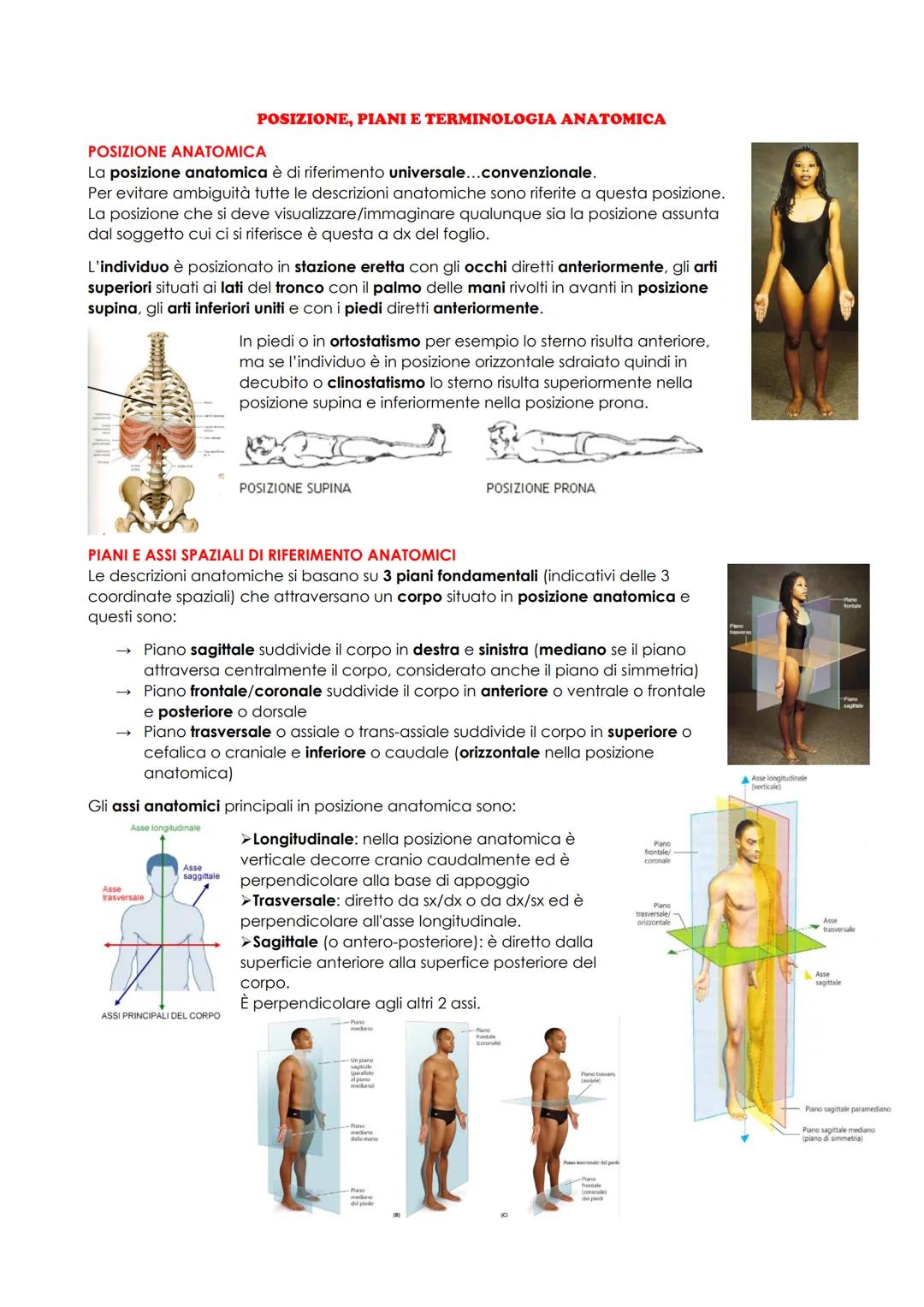 # ANATOMIA UMANA
## INTRODUZIONE
L'anatomia studia la morfologia (la struttura macro e microscopica) del corpo umano e delle sue parti e i