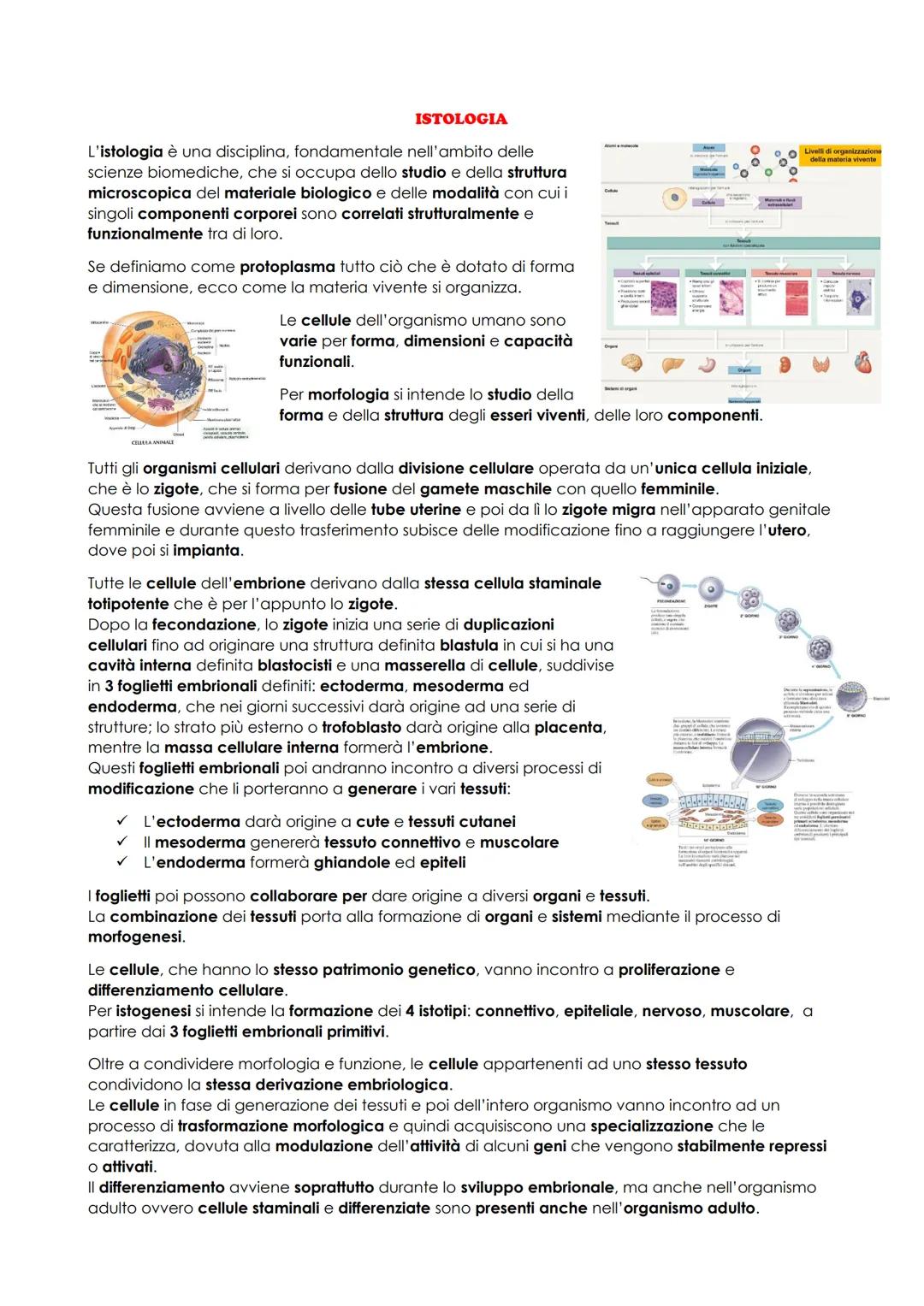 # ANATOMIA UMANA
## INTRODUZIONE
L'anatomia studia la morfologia (la struttura macro e microscopica) del corpo umano e delle sue parti e i