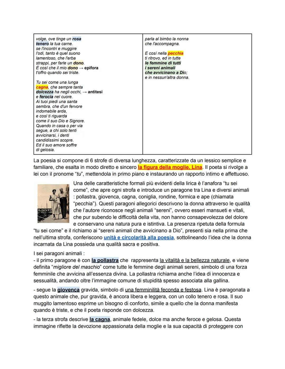 UMBERTO SABA (1883-1957)
Saba, nato Umberto Poli a Trieste nel 1883, visse un'infanzia segnata dalla separazione dei
genitori. La madre assu