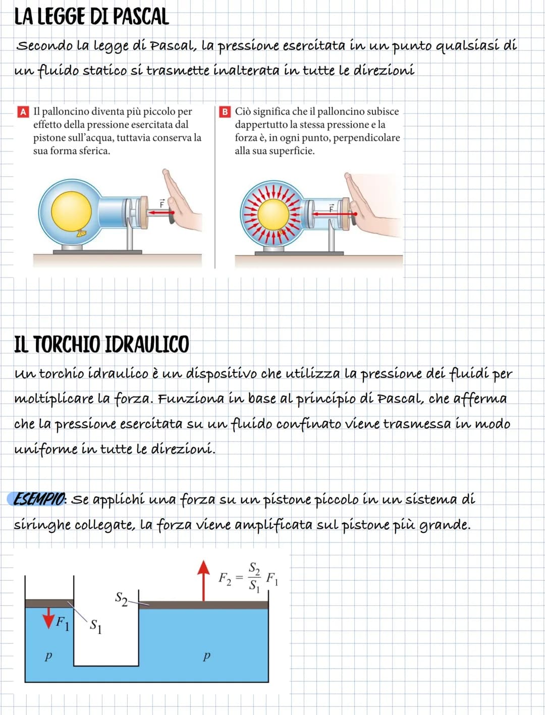 L'EQUILIBRIO DEI FLUIDI
LA PRESSIONE
la pressione P su una superficie e una grandezza scalare, data dal rapporto
tra il modulo della forza c
