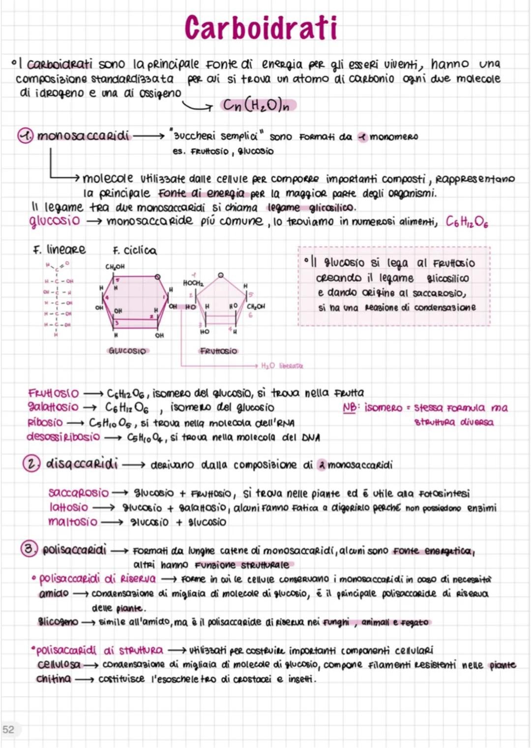 Biomolecole (1)
• Le BIOMOLECOLE sono le molecole che costituiscono tutti gli esseri viventi e
sono tutte polimeri eccetto i lipidi
sono def
