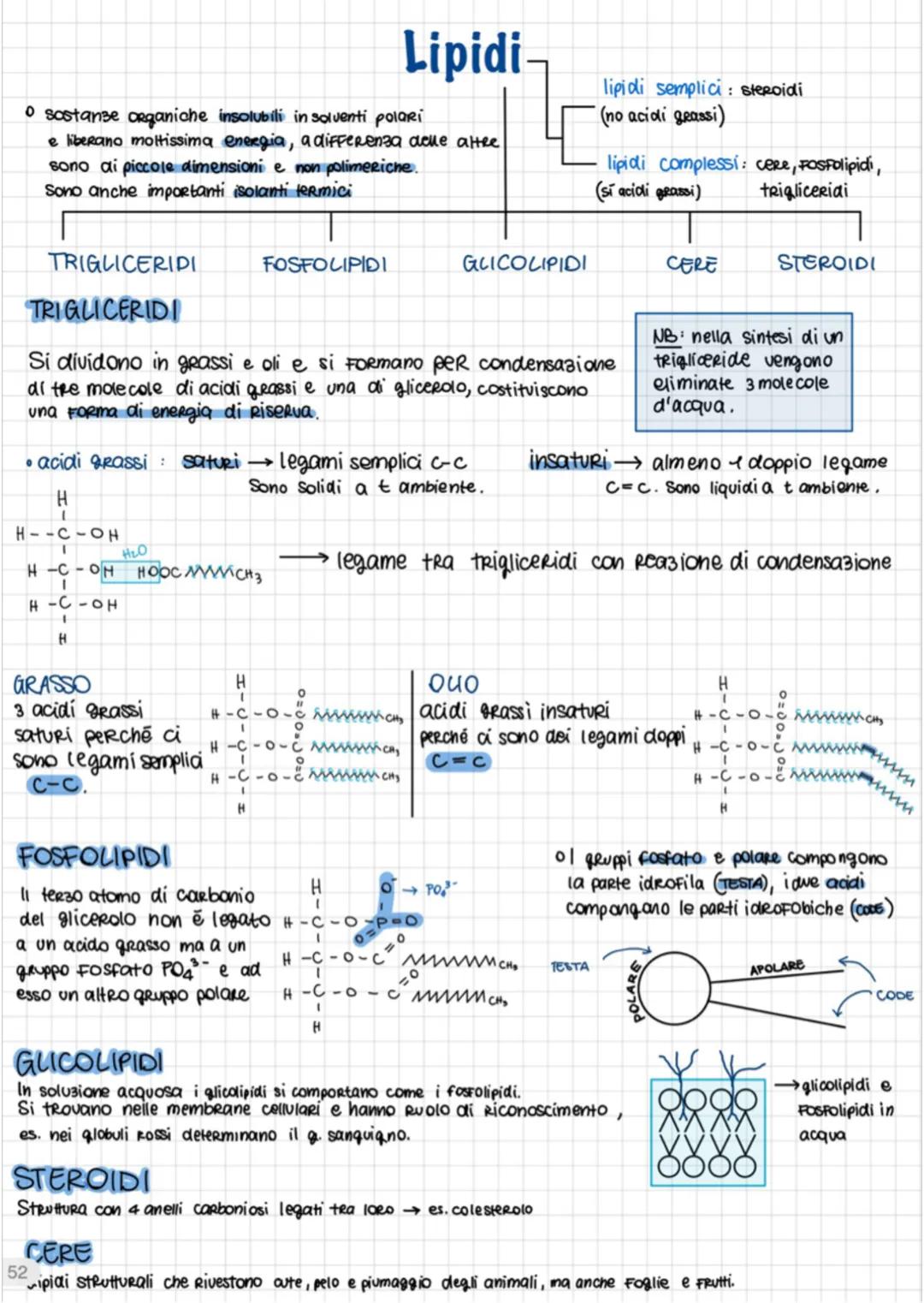 Biomolecole (1)
• Le BIOMOLECOLE sono le molecole che costituiscono tutti gli esseri viventi e
sono tutte polimeri eccetto i lipidi
sono def