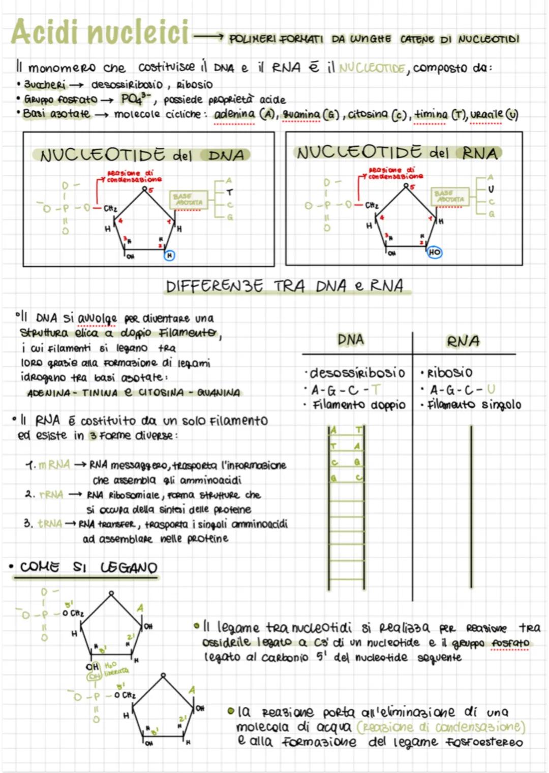 Biomolecole (1)
• Le BIOMOLECOLE sono le molecole che costituiscono tutti gli esseri viventi e
sono tutte polimeri eccetto i lipidi
sono def