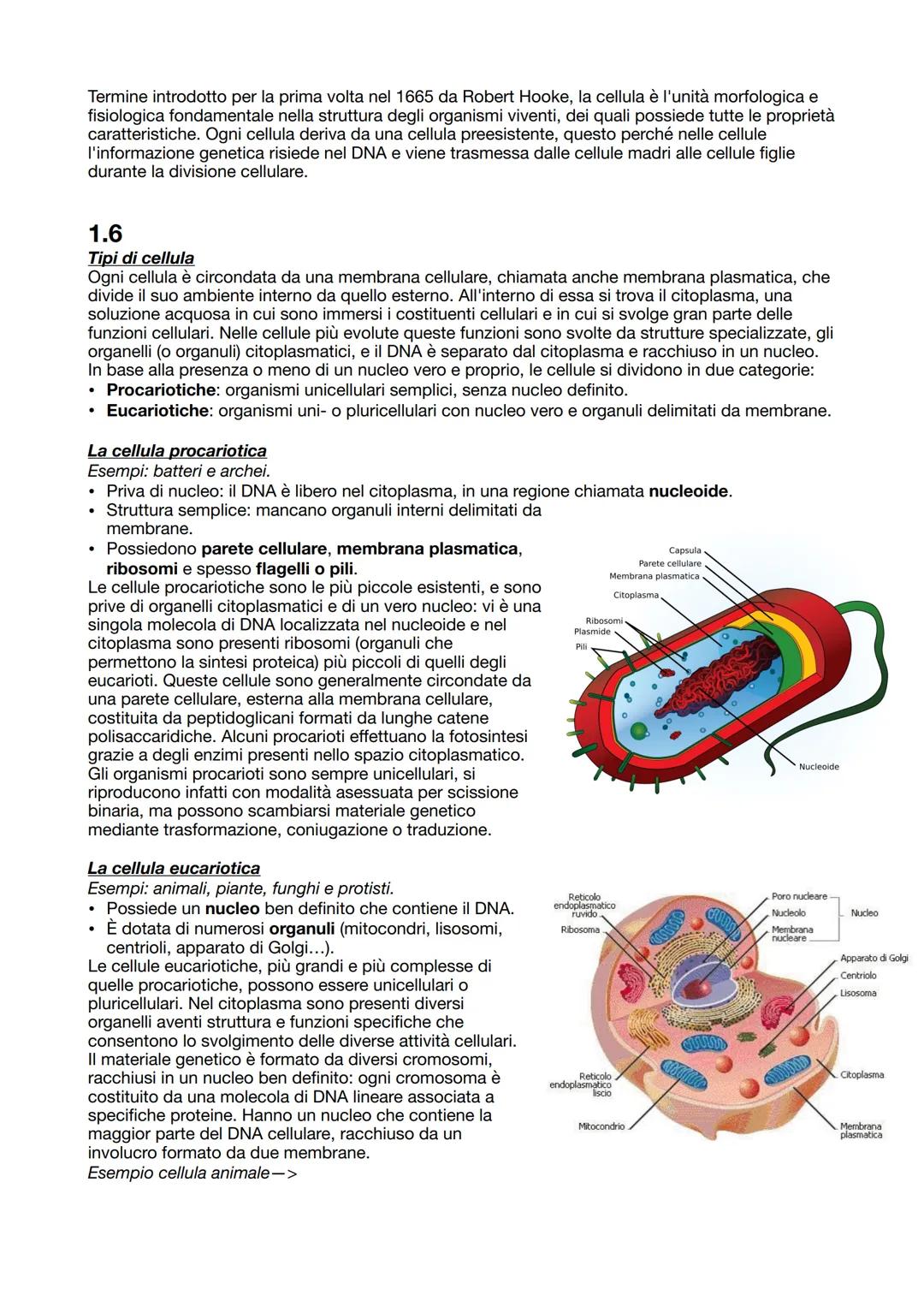 BIOLOGIA CAPITOLO 1: BIOLOGIA CELLULARE
1.1
Introduzione alla biologia
La biologia è la scienza che studia gli esseri viventi, la loro strut