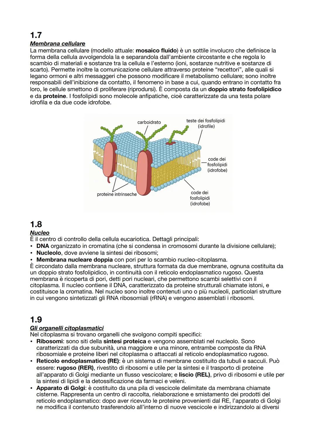 BIOLOGIA CAPITOLO 1: BIOLOGIA CELLULARE
1.1
Introduzione alla biologia
La biologia è la scienza che studia gli esseri viventi, la loro strut