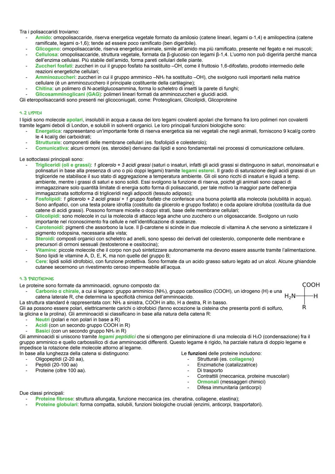 Biologia
1. Biomolecole
E. GRUPPI FUNZIONALI
I composti organici si possono suddividere in classi che si differenziano per uno o più gruppi