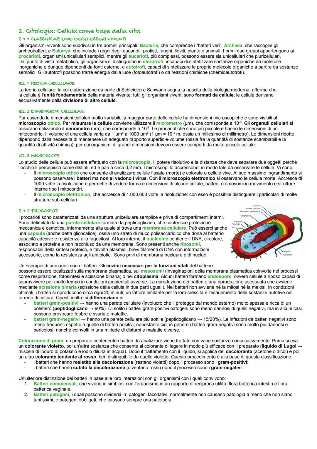 Biologia
1. Biomolecole
E. GRUPPI FUNZIONALI
I composti organici si possono suddividere in classi che si differenziano per uno o più gruppi