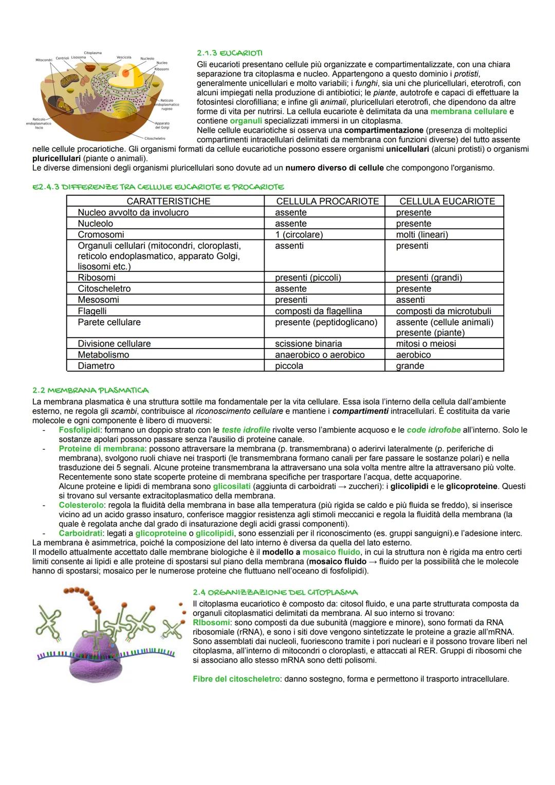 Biologia
1. Biomolecole
E. GRUPPI FUNZIONALI
I composti organici si possono suddividere in classi che si differenziano per uno o più gruppi