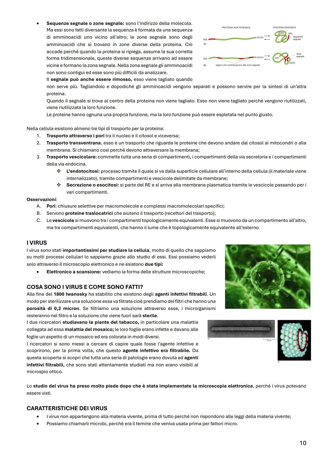 BIOLOGIA CELLULARE
TAVOLA PERIODICA
La materia vivente al 99% è formata dall'idrogeno, dal carbonio, dall'azoto, e
dall'ossigeno. Mentre per