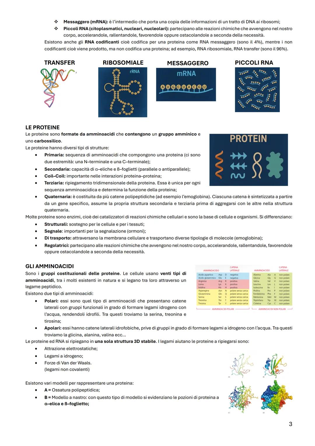 BIOLOGIA CELLULARE
TAVOLA PERIODICA
La materia vivente al 99% è formata dall'idrogeno, dal carbonio, dall'azoto, e
dall'ossigeno. Mentre per