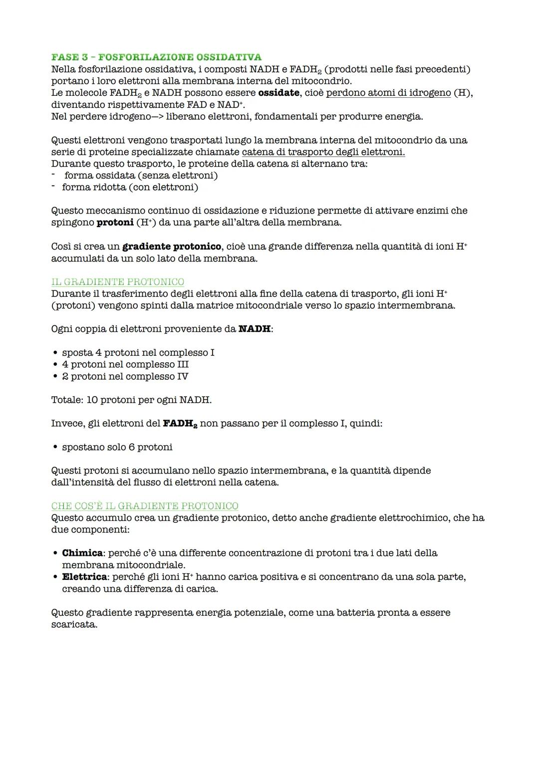## METABOLISMO ENERGETICO
Il metabolismo è l'insieme delle reazioni chimiche che avvengono nelle cellule e che
permettono di degradare e si