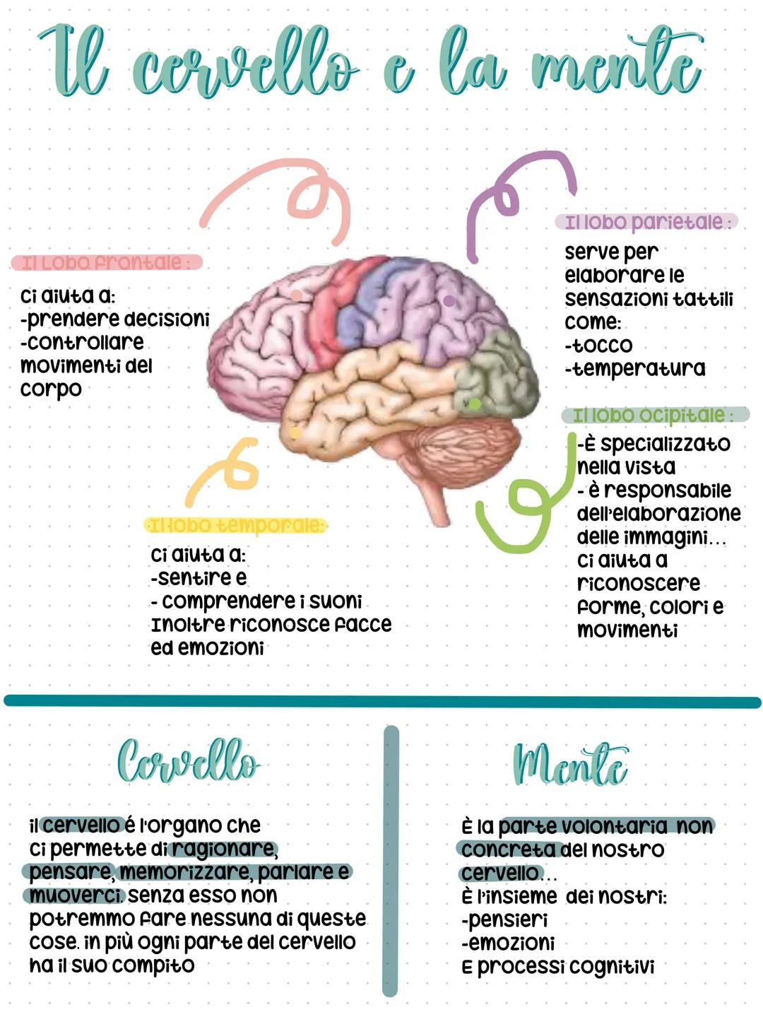 # Che cos'e la psicologia?
La psicologia è la scienza che studia il ragionamento dell'uomo
come individuo
Oltre ad essa esistono altre
sci