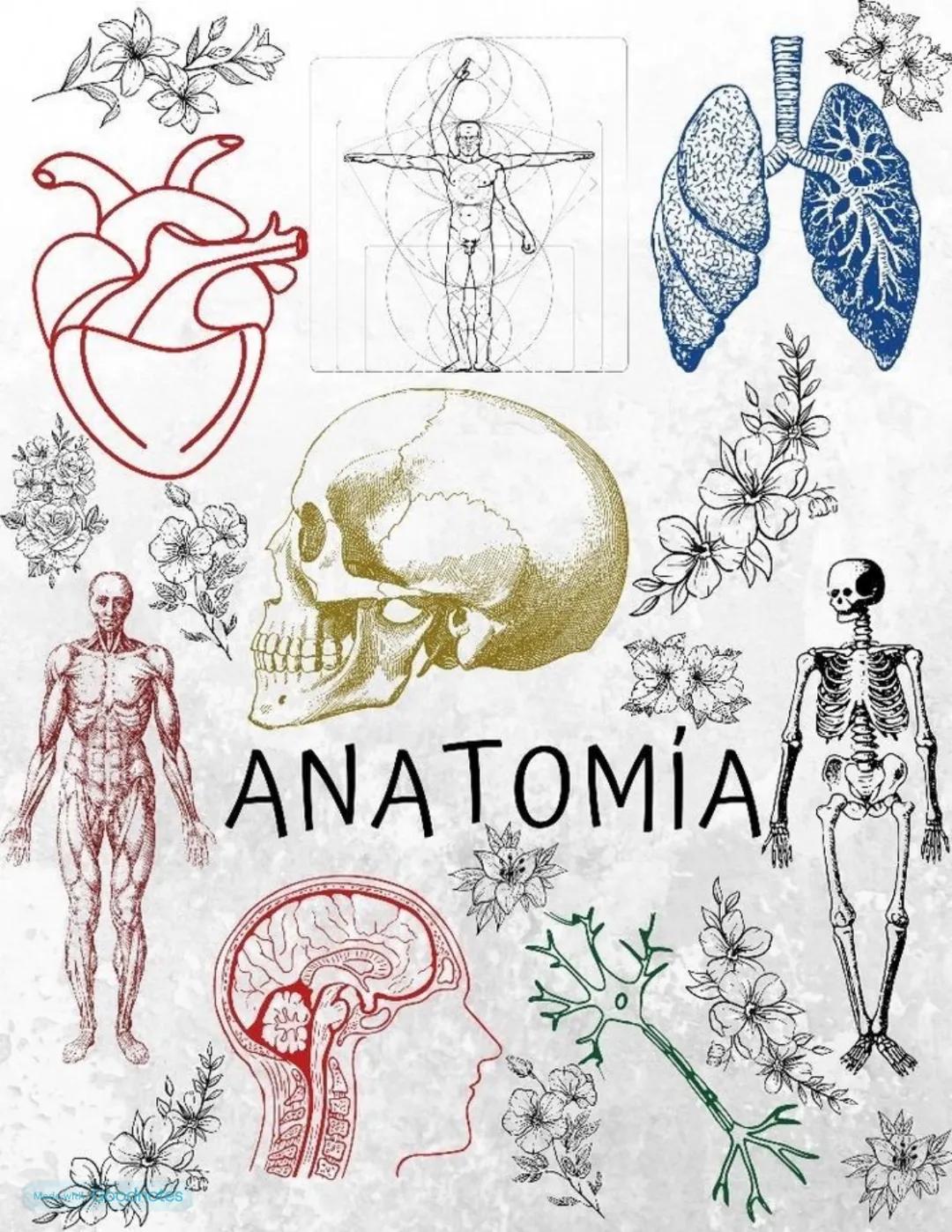 ANATOMÍA # ΑΝΑΤΟΜΙΑ
APPUNTI
ANATOMIA DAL GRECO ανατέμνω, εΙοέ ΤΑGCIO, DISSEZIONO
14/10/2024
generale, cellula e tessuti
sistematica
Ci