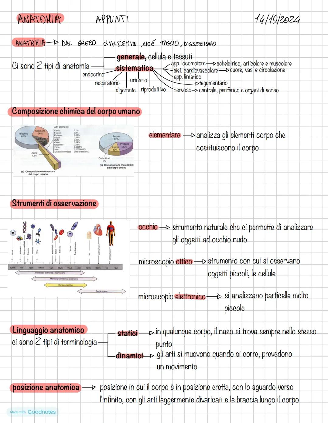 ANATOMÍA # ΑΝΑΤΟΜΙΑ
APPUNTI
ANATOMIA DAL GRECO ανατέμνω, εΙοέ ΤΑGCIO, DISSEZIONO
14/10/2024
generale, cellula e tessuti
sistematica
Ci