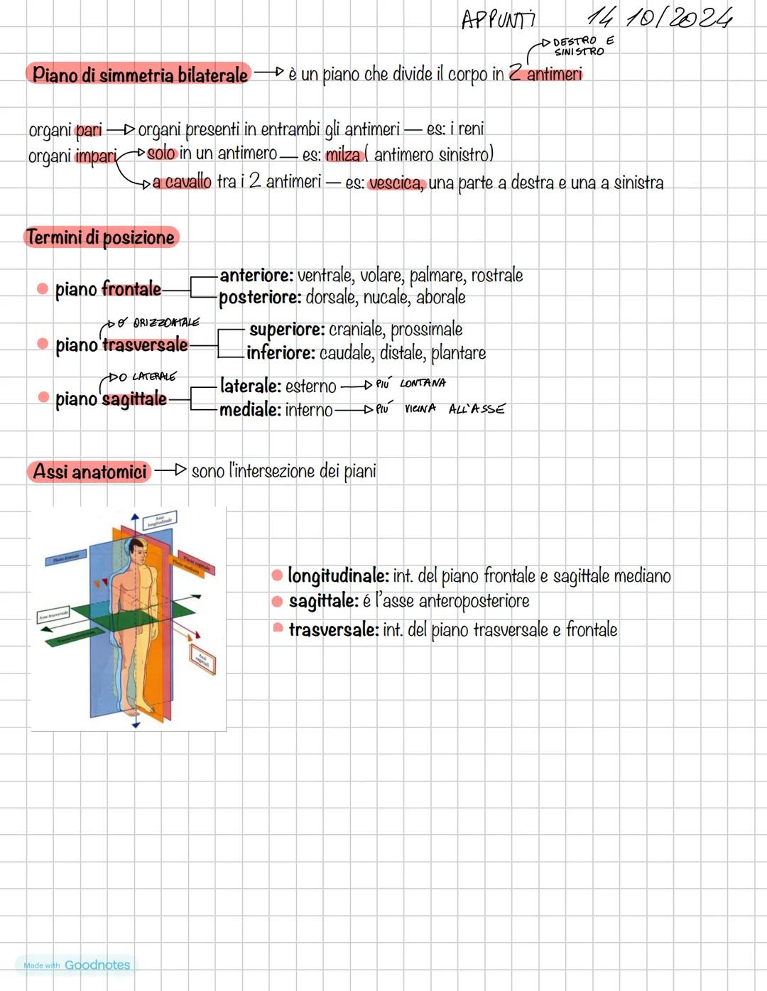 ANATOMÍA # ΑΝΑΤΟΜΙΑ
APPUNTI
ANATOMIA DAL GRECO ανατέμνω, εΙοέ ΤΑGCIO, DISSEZIONO
14/10/2024
generale, cellula e tessuti
sistematica
Ci