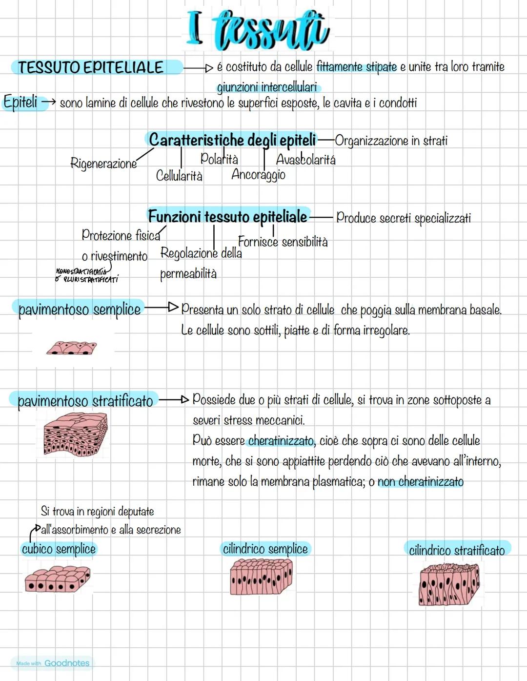 ANATOMÍA # ΑΝΑΤΟΜΙΑ
APPUNTI
ANATOMIA DAL GRECO ανατέμνω, εΙοέ ΤΑGCIO, DISSEZIONO
14/10/2024
generale, cellula e tessuti
sistematica
Ci