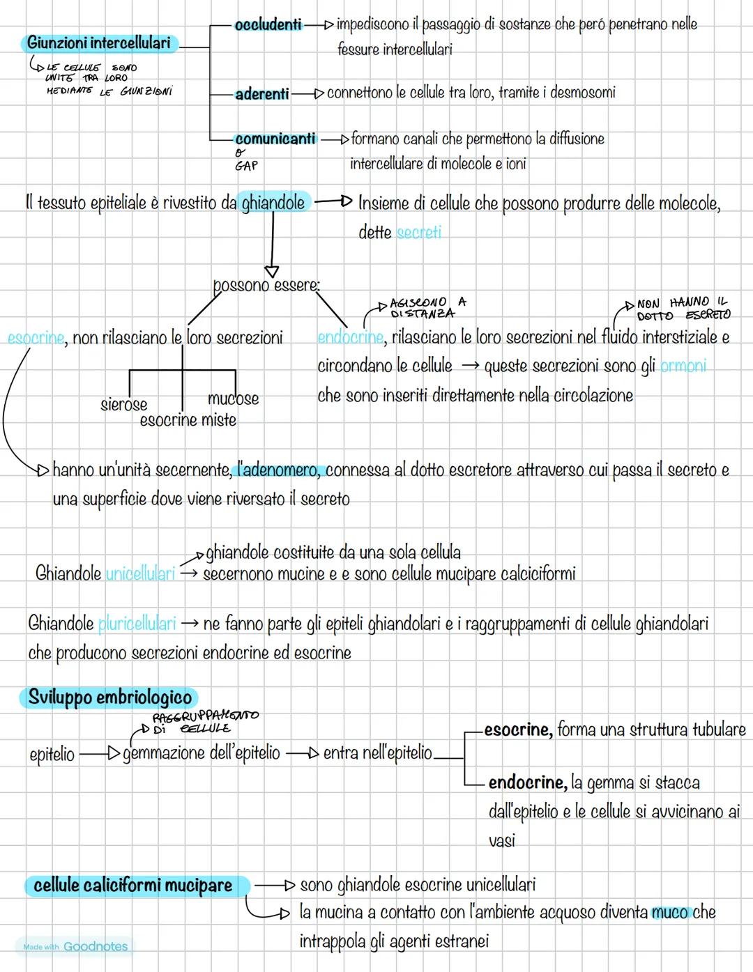ANATOMÍA # ΑΝΑΤΟΜΙΑ
APPUNTI
ANATOMIA DAL GRECO ανατέμνω, εΙοέ ΤΑGCIO, DISSEZIONO
14/10/2024
generale, cellula e tessuti
sistematica
Ci
