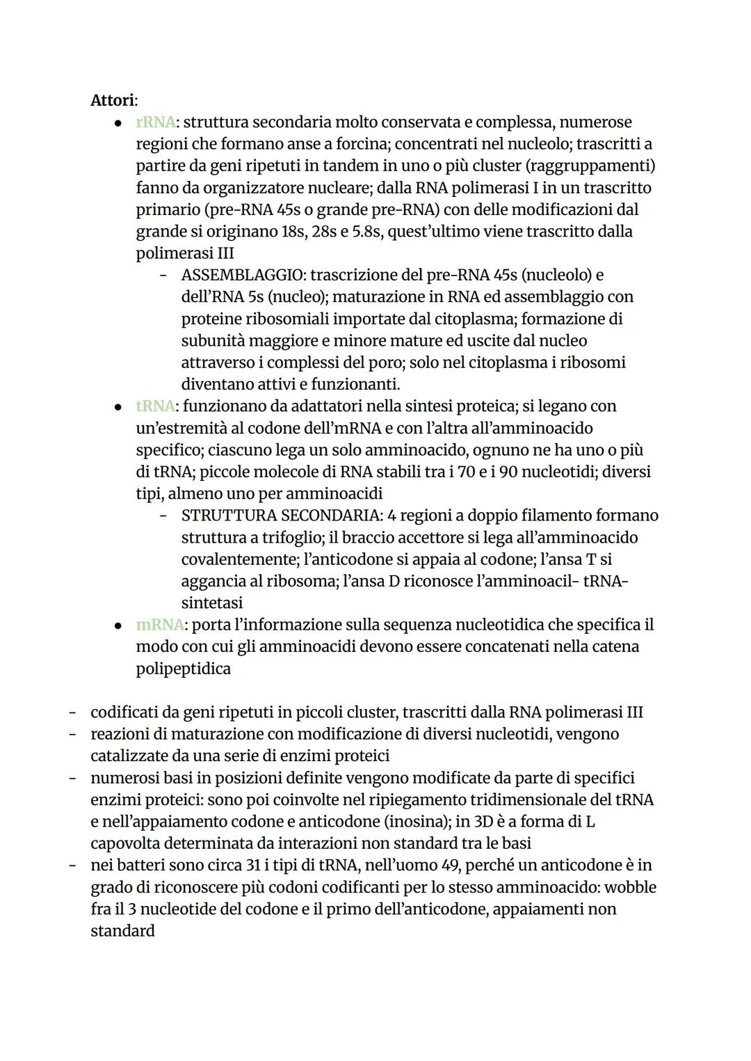 # La replicazione del DNA
La replicazione è il processo con cui una cellula copia il proprio DNA prima
della divisione cellulare. È semicon