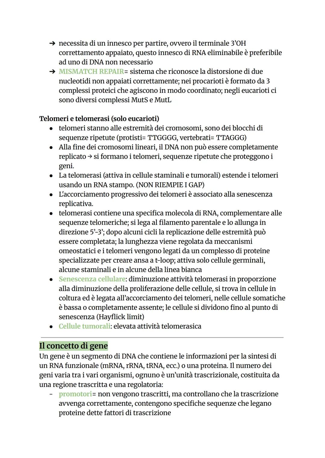 # La replicazione del DNA
La replicazione è il processo con cui una cellula copia il proprio DNA prima
della divisione cellulare. È semicon