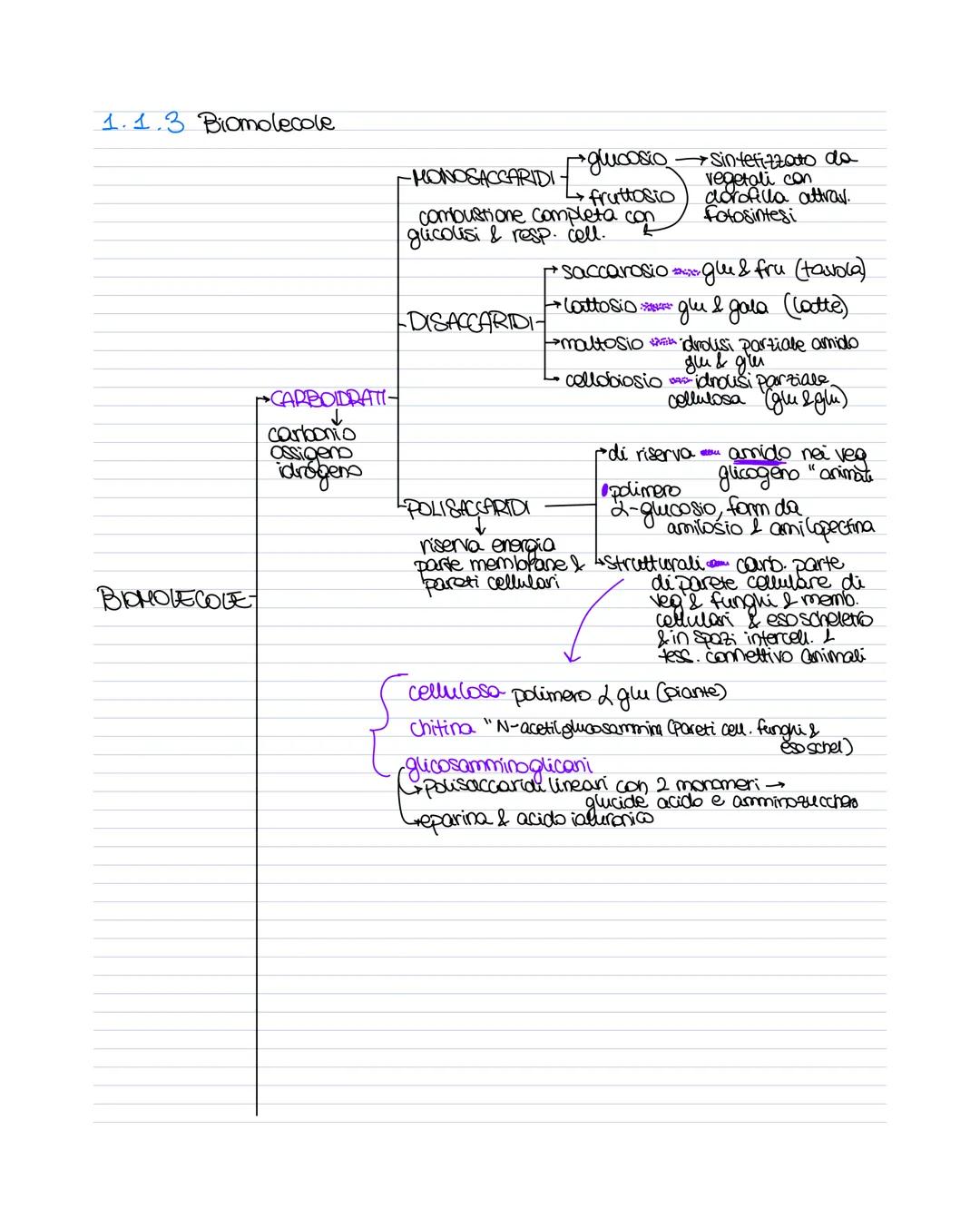 # MAPPE BIOLOGIA
1.1.1 Caratteristiche dei vivente
- Cellule (VIRUS)
- crescita e sviluppo
- riproduzione
- regolazione proprio metabolism