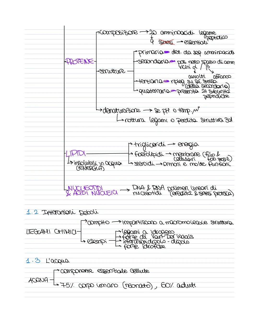 # MAPPE BIOLOGIA
1.1.1 Caratteristiche dei vivente
- Cellule (VIRUS)
- crescita e sviluppo
- riproduzione
- regolazione proprio metabolism