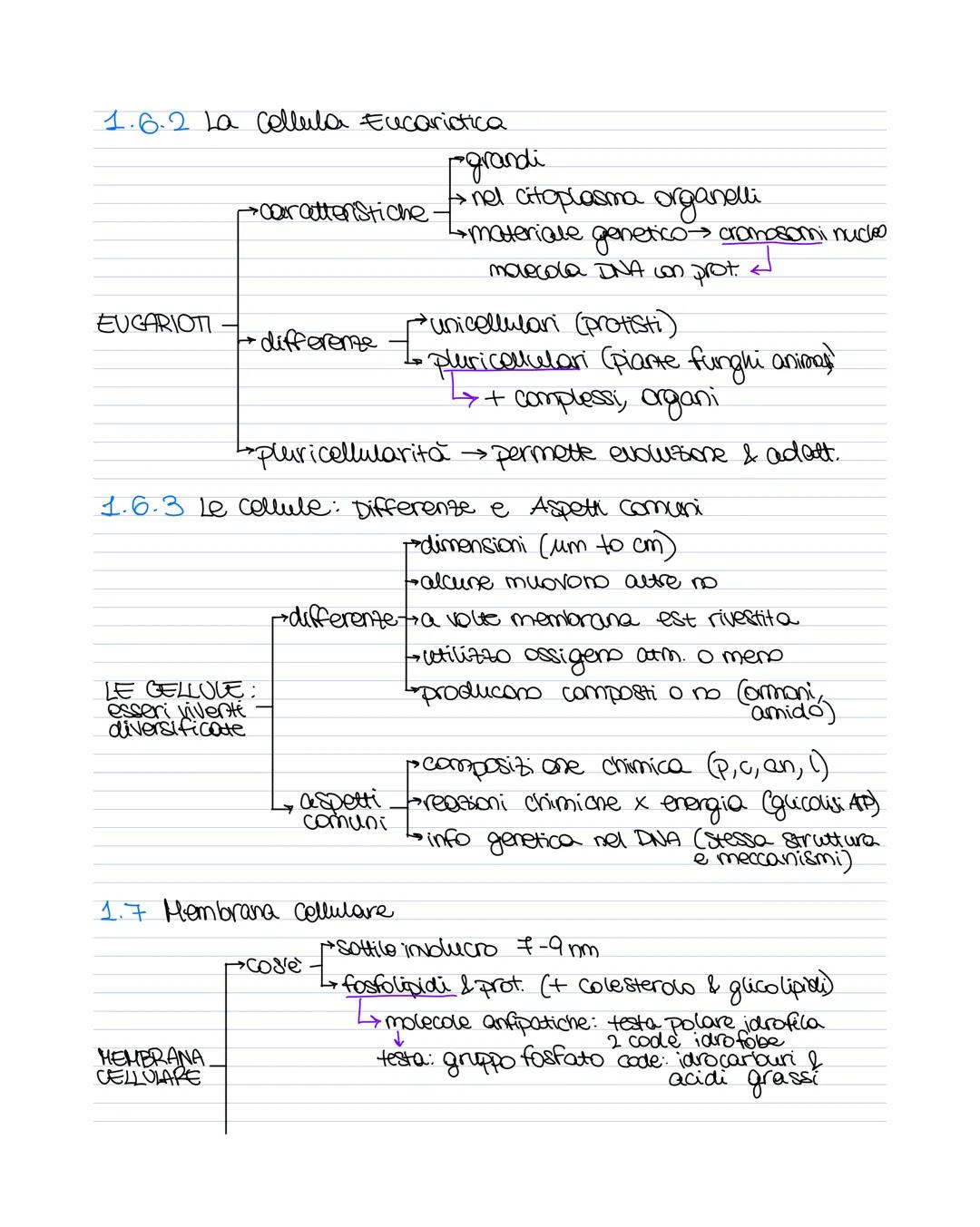 # MAPPE BIOLOGIA
1.1.1 Caratteristiche dei vivente
- Cellule (VIRUS)
- crescita e sviluppo
- riproduzione
- regolazione proprio metabolism