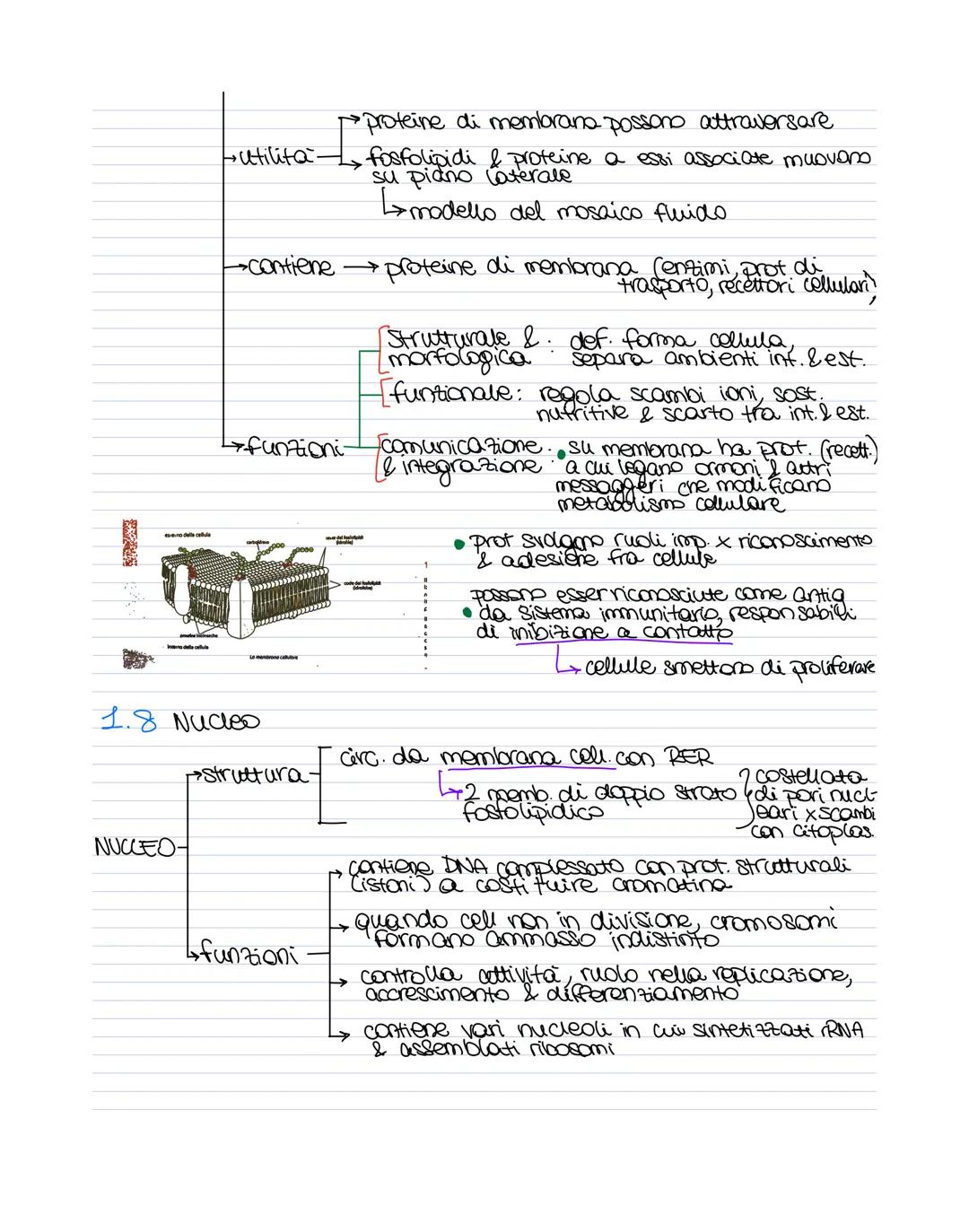 # MAPPE BIOLOGIA
1.1.1 Caratteristiche dei vivente
- Cellule (VIRUS)
- crescita e sviluppo
- riproduzione
- regolazione proprio metabolism