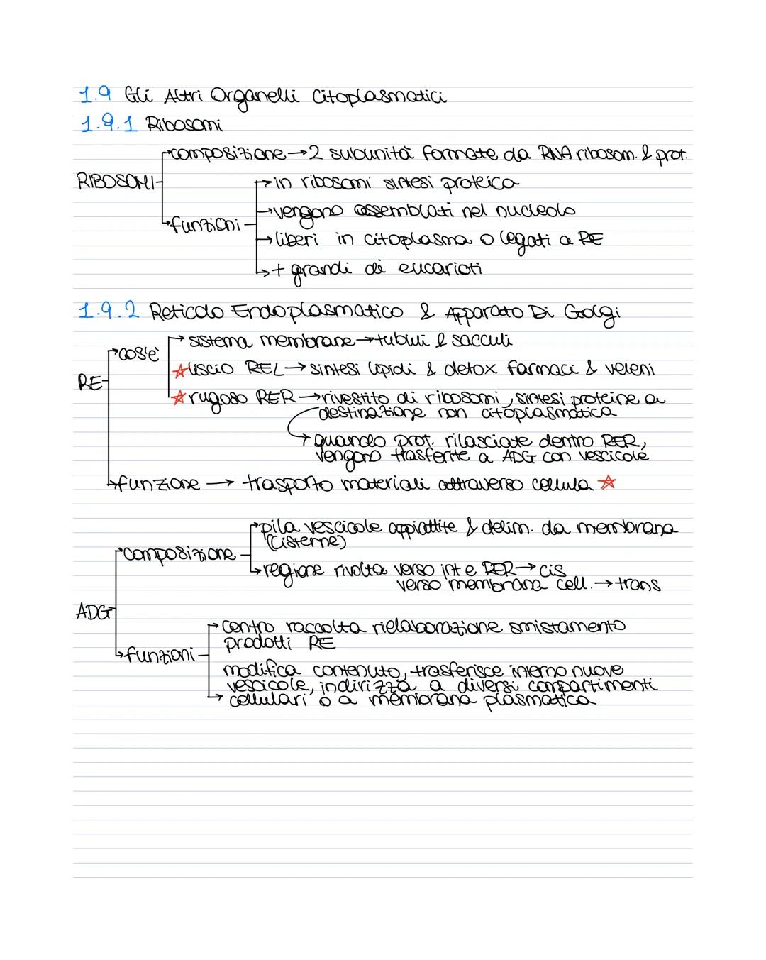 # MAPPE BIOLOGIA
1.1.1 Caratteristiche dei vivente
- Cellule (VIRUS)
- crescita e sviluppo
- riproduzione
- regolazione proprio metabolism