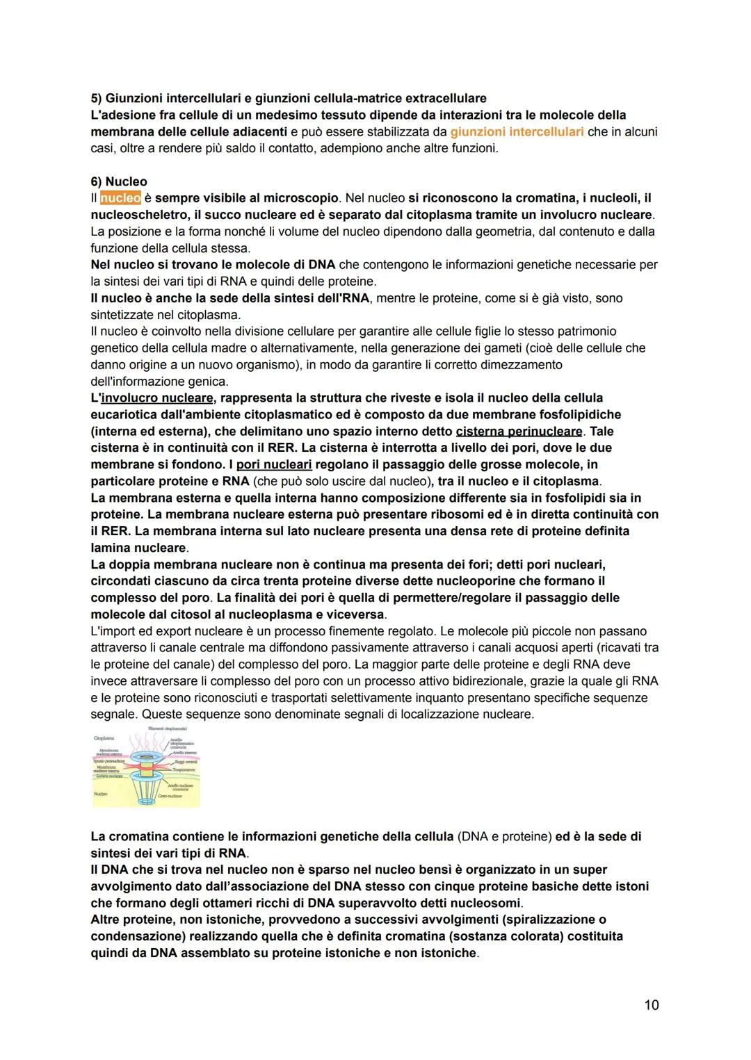 # ISTOLOGIA
L'istologia viene divisa in:
-citologia: lo studio della struttura della cellula e delle sue parti
-istologia: lo studio dell