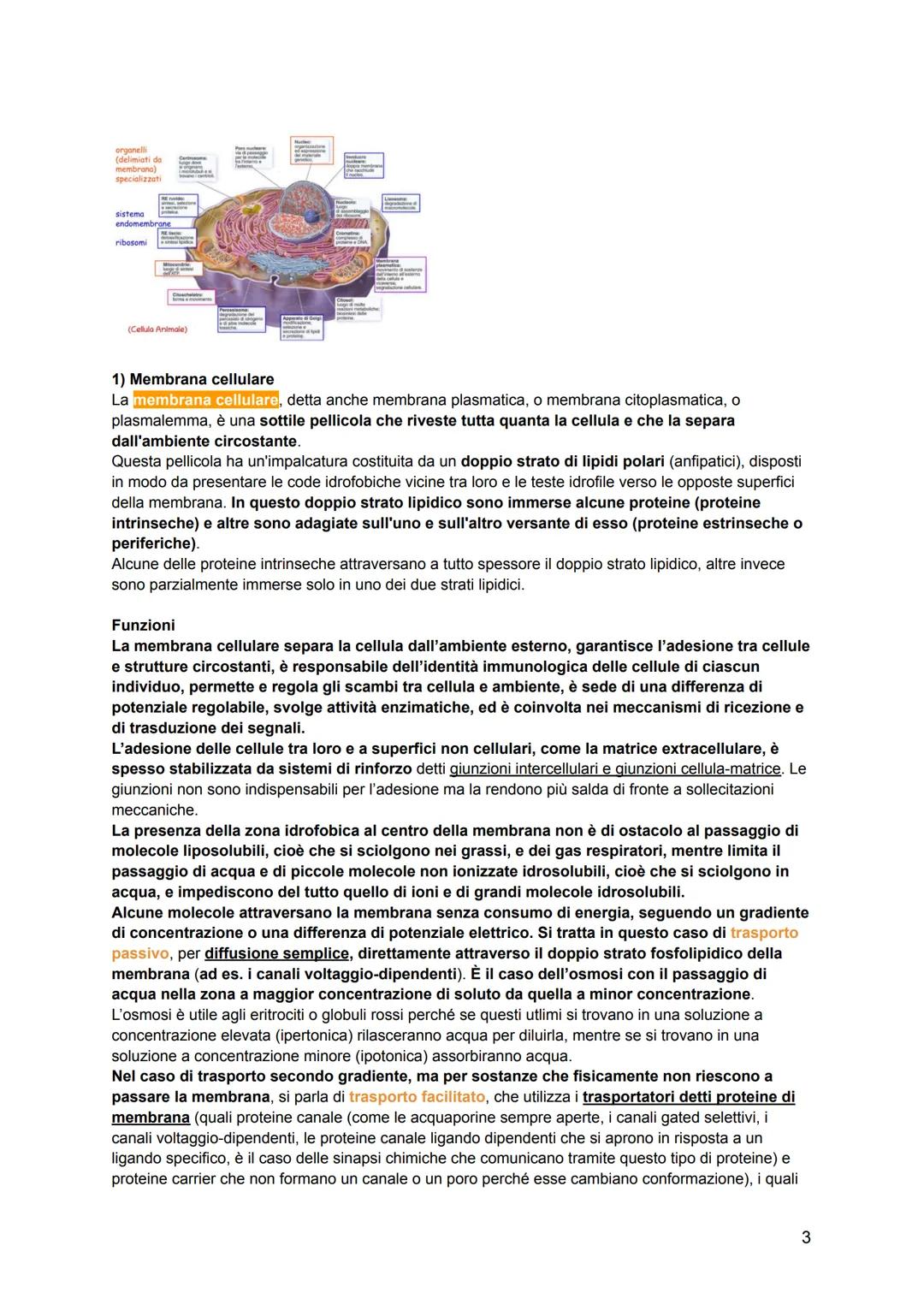# ISTOLOGIA
L'istologia viene divisa in:
-citologia: lo studio della struttura della cellula e delle sue parti
-istologia: lo studio dell