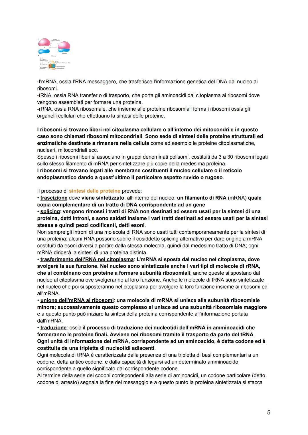 # ISTOLOGIA
L'istologia viene divisa in:
-citologia: lo studio della struttura della cellula e delle sue parti
-istologia: lo studio dell