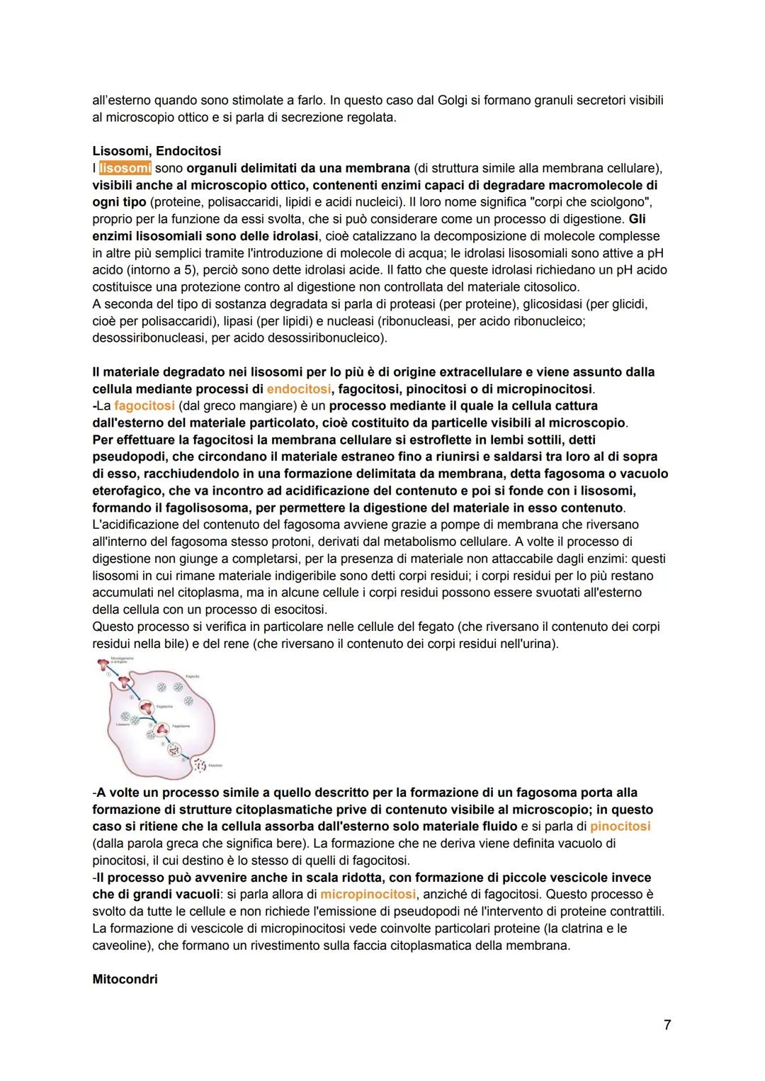 # ISTOLOGIA
L'istologia viene divisa in:
-citologia: lo studio della struttura della cellula e delle sue parti
-istologia: lo studio dell