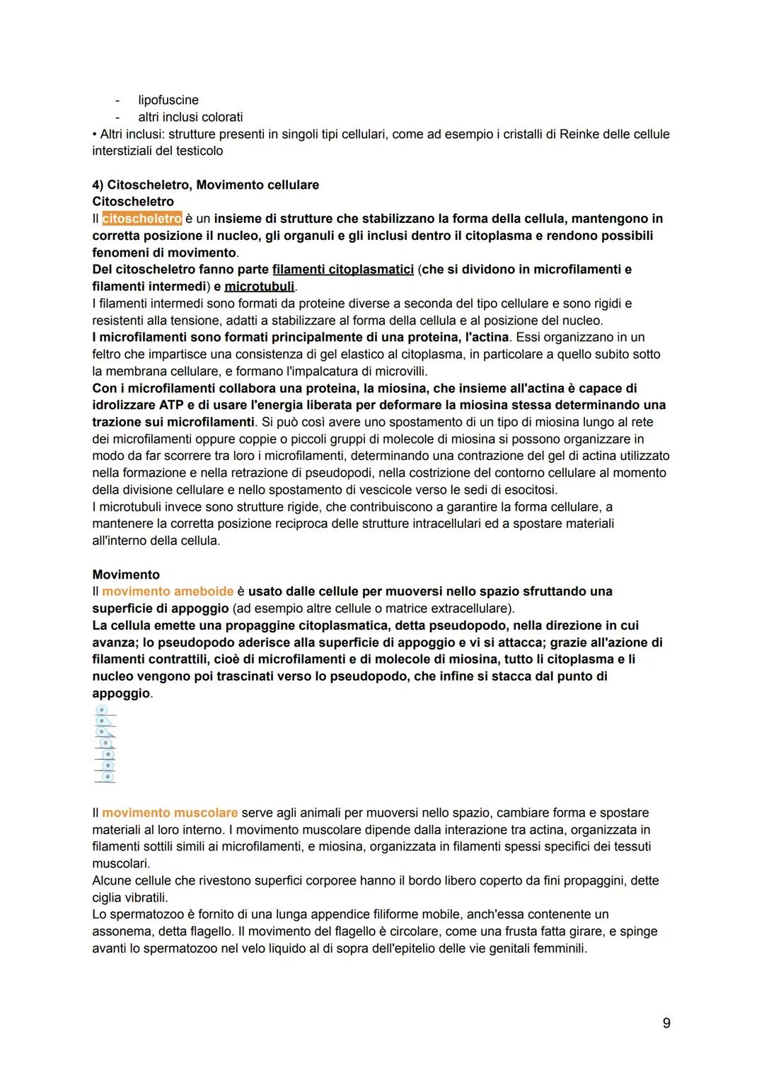 # ISTOLOGIA
L'istologia viene divisa in:
-citologia: lo studio della struttura della cellula e delle sue parti
-istologia: lo studio dell