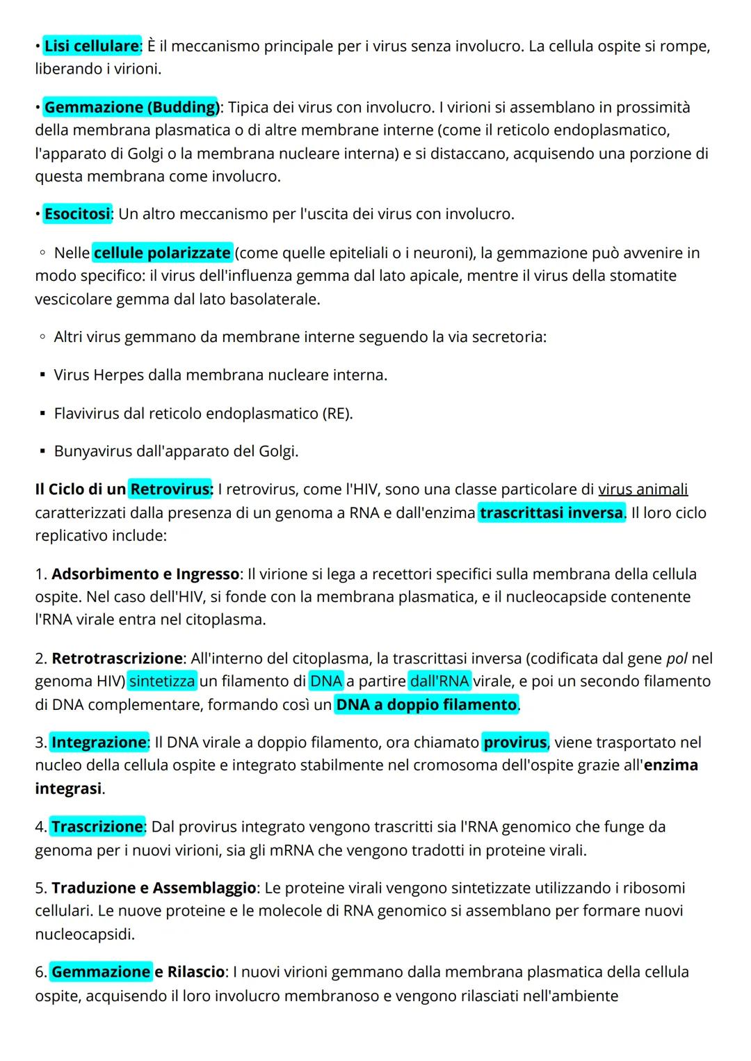 # I virus: sono entità infettive che contengono acido nucleico (DNA o RNA, ma mai entrambi), il
quale costituisce il loro genoma. Si replica