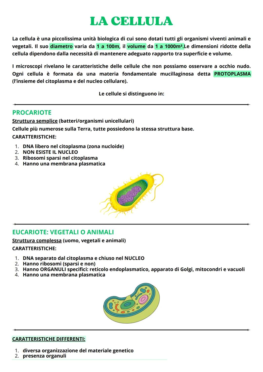# LA CELLULA
La cellula è una piccolissima unità biologica di cui sono dotati tutti gli organismi viventi animali e
vegetali. Il suo diamet