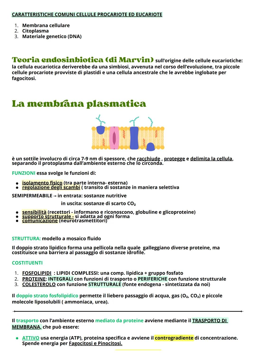 # LA CELLULA
La cellula è una piccolissima unità biologica di cui sono dotati tutti gli organismi viventi animali e
vegetali. Il suo diamet