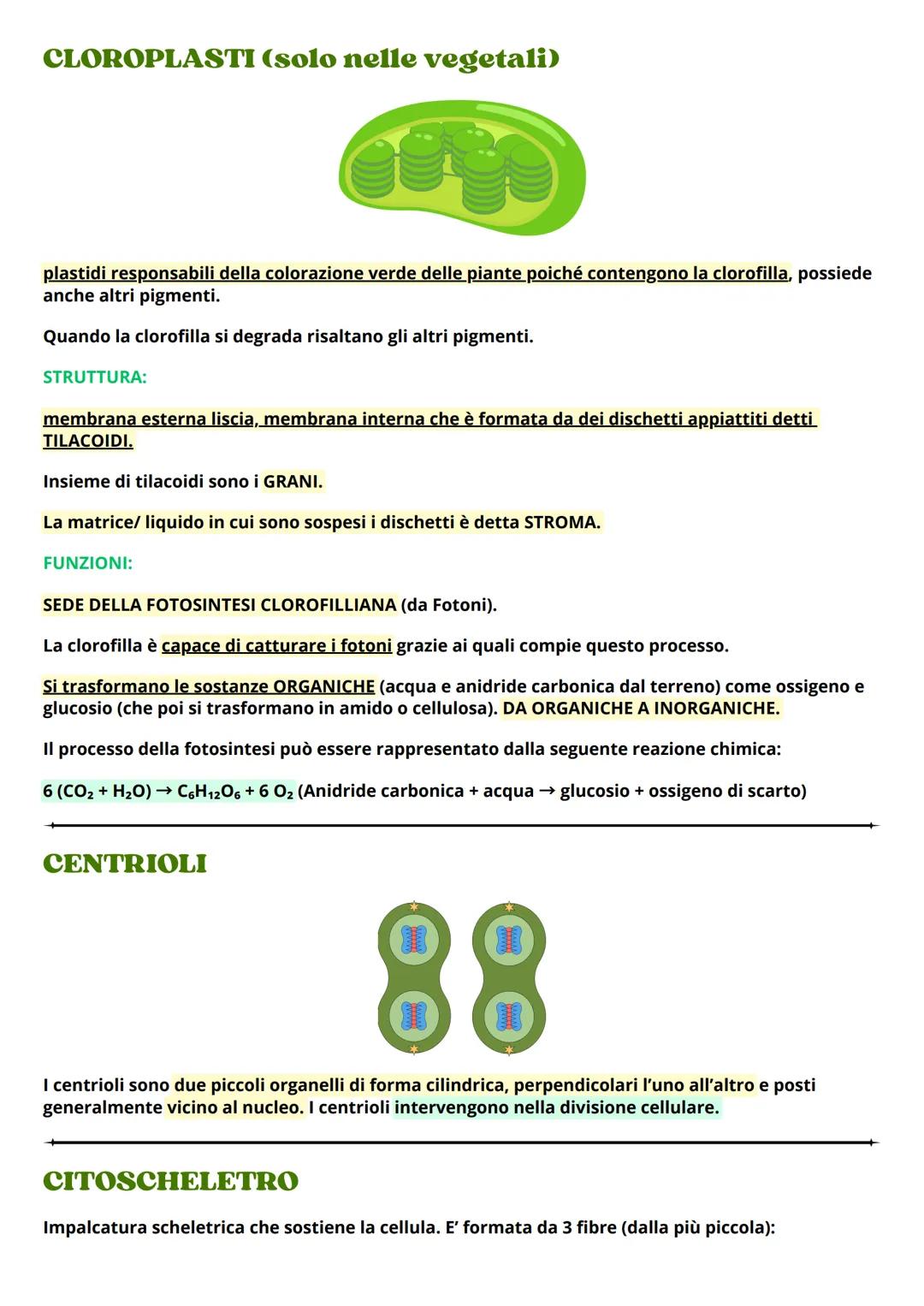 # LA CELLULA
La cellula è una piccolissima unità biologica di cui sono dotati tutti gli organismi viventi animali e
vegetali. Il suo diamet